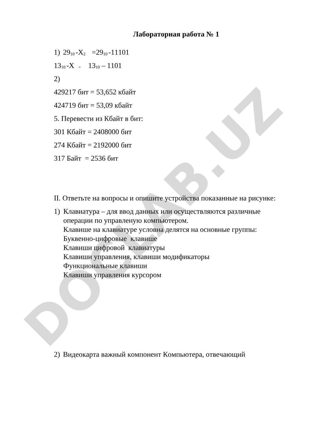 Лабораторная работа №1 по информатике