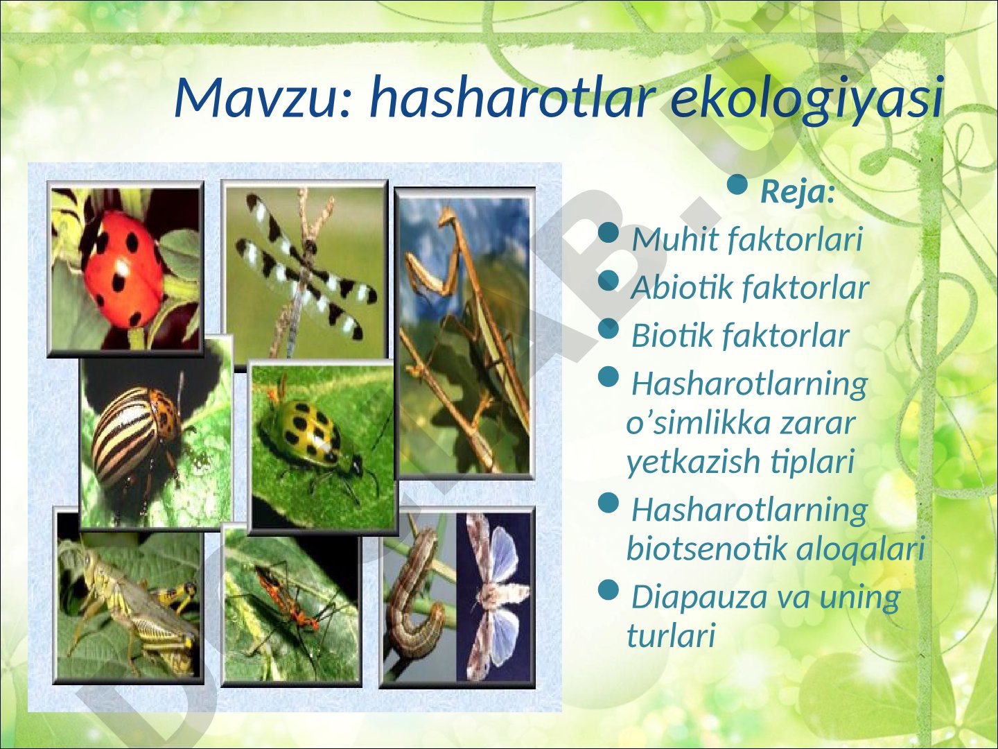 Hasharotlar ekologiyasi