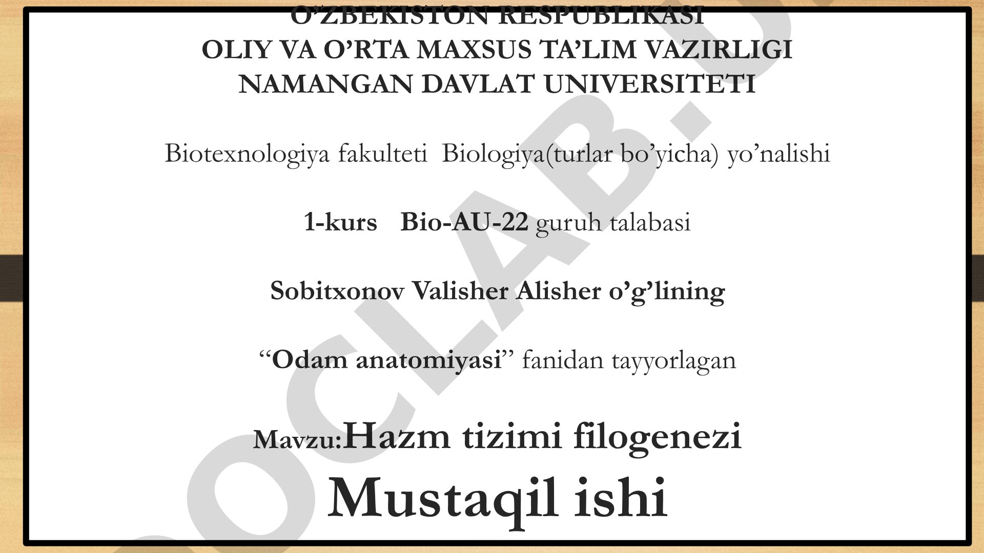 Hazm tizimi filogenezi