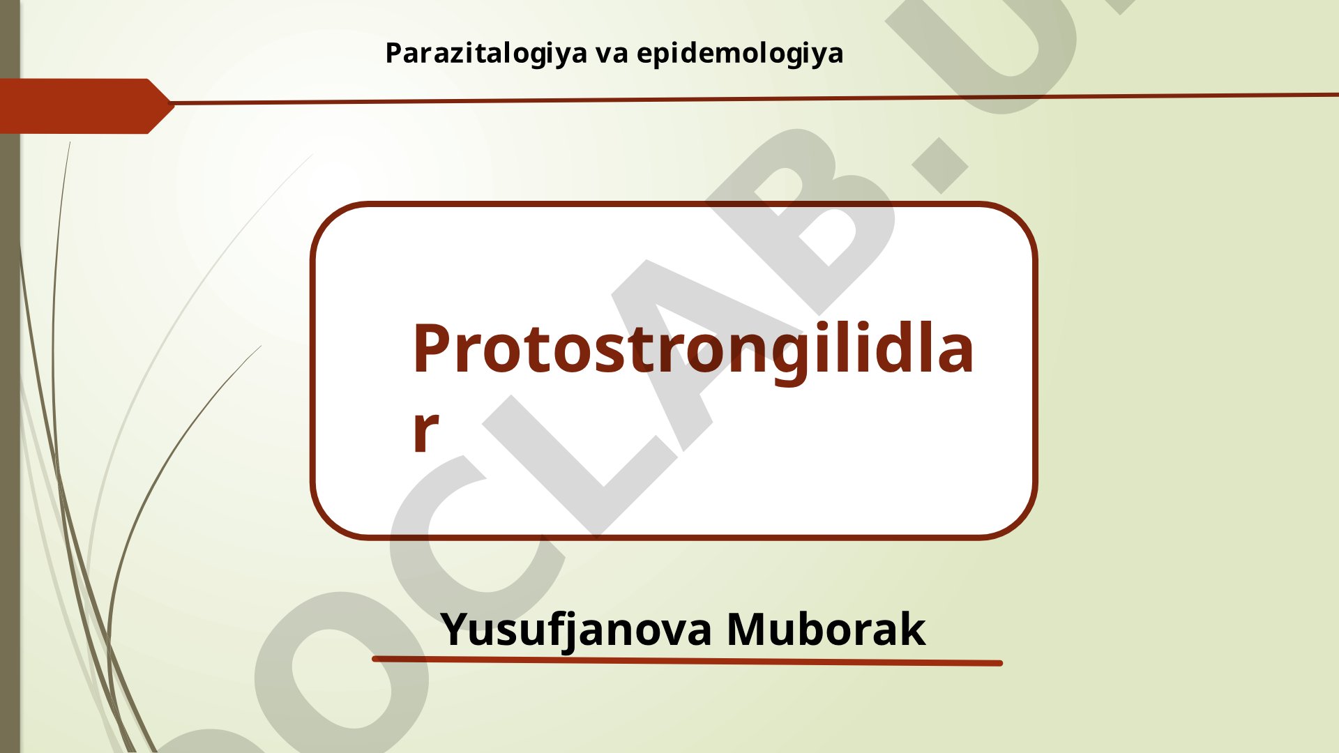 Parazitalogiya va epidemologiya Protostrongilidlar