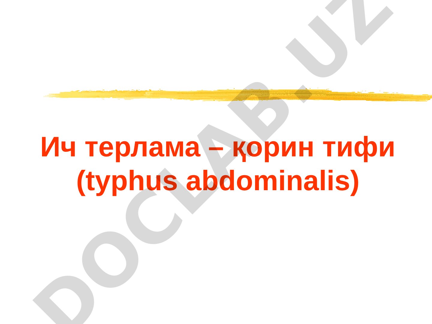 Ич терлама – қорин тифи (typhus abdominalis)