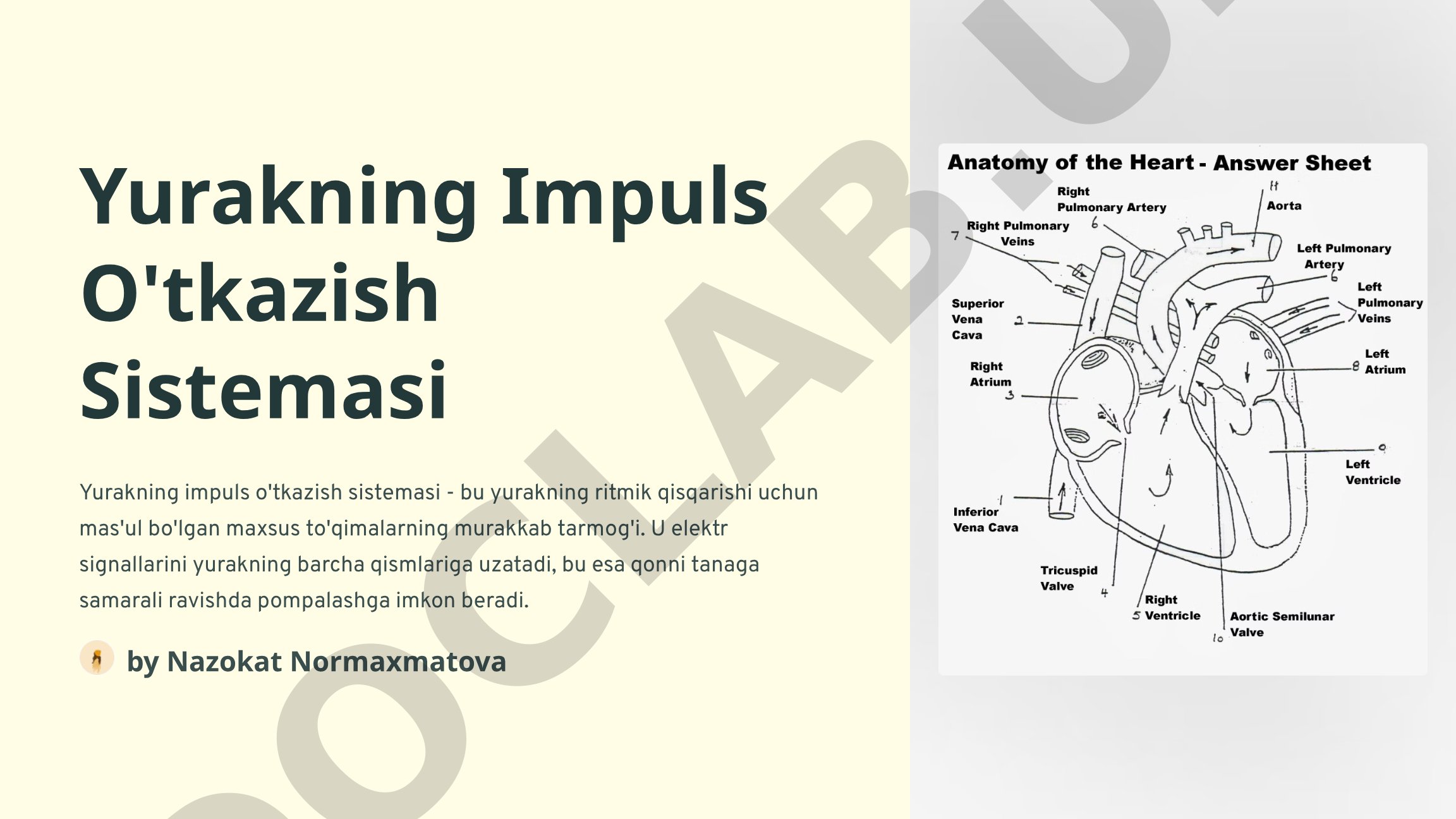 Yurakning Impuls O'tkazish Sistemasi