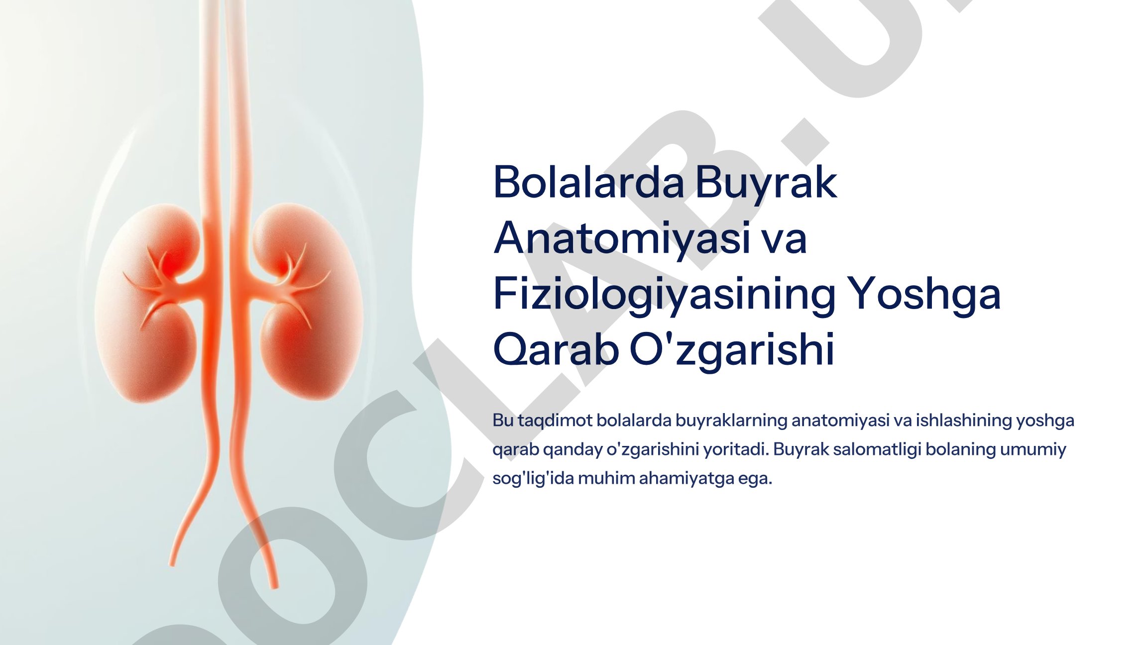 Bolalarda buyrak anatomiyasi va fiziologiyasining yoshga qarab o'zgarishi