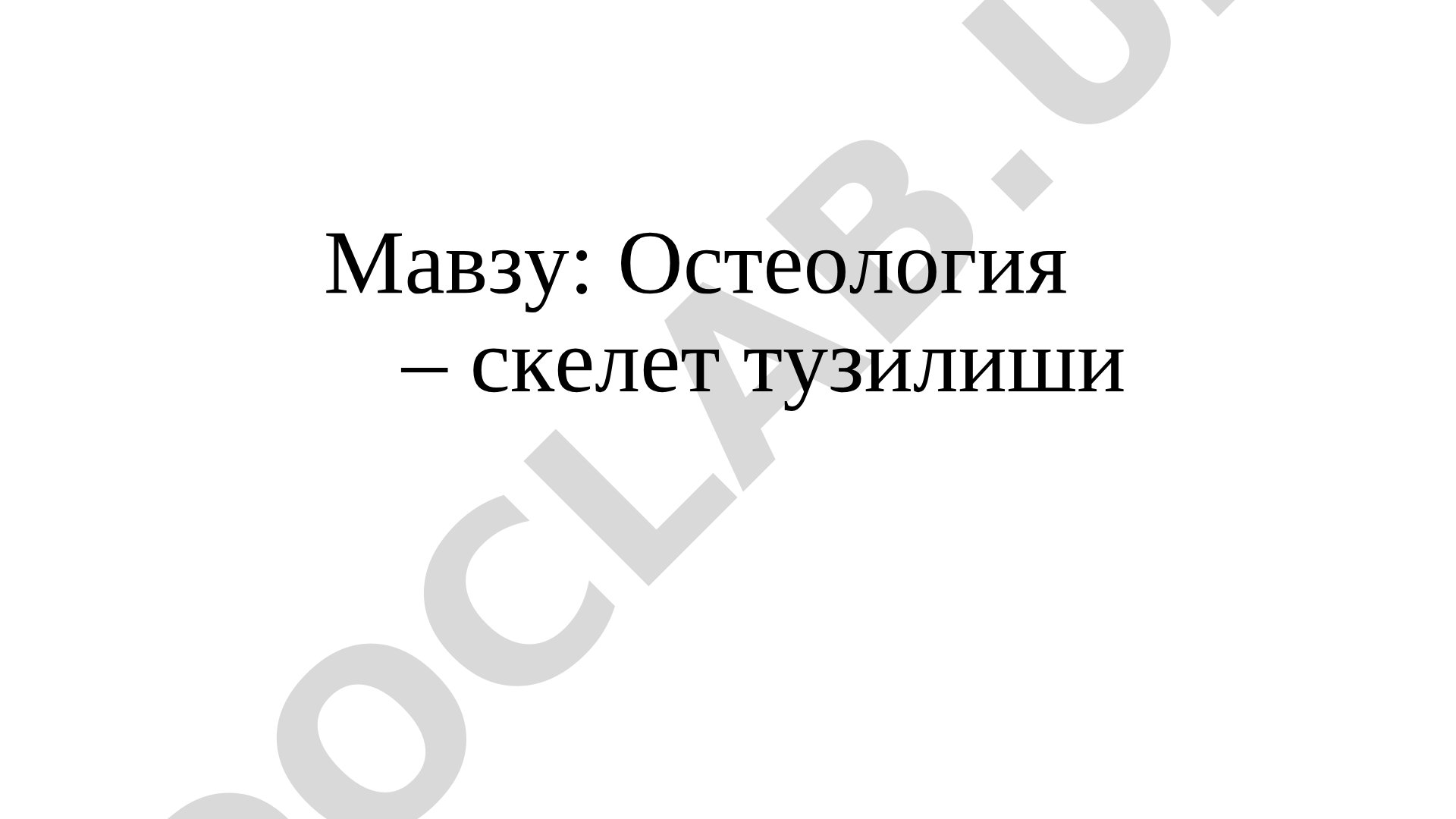 Остеология – скелет тузилиши
