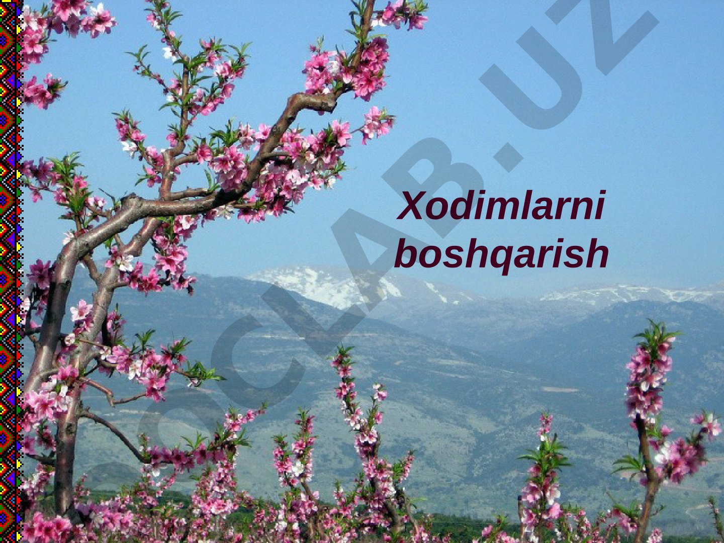 Xodimlarni boshqarish: kadrlar menejmenti (HRM)