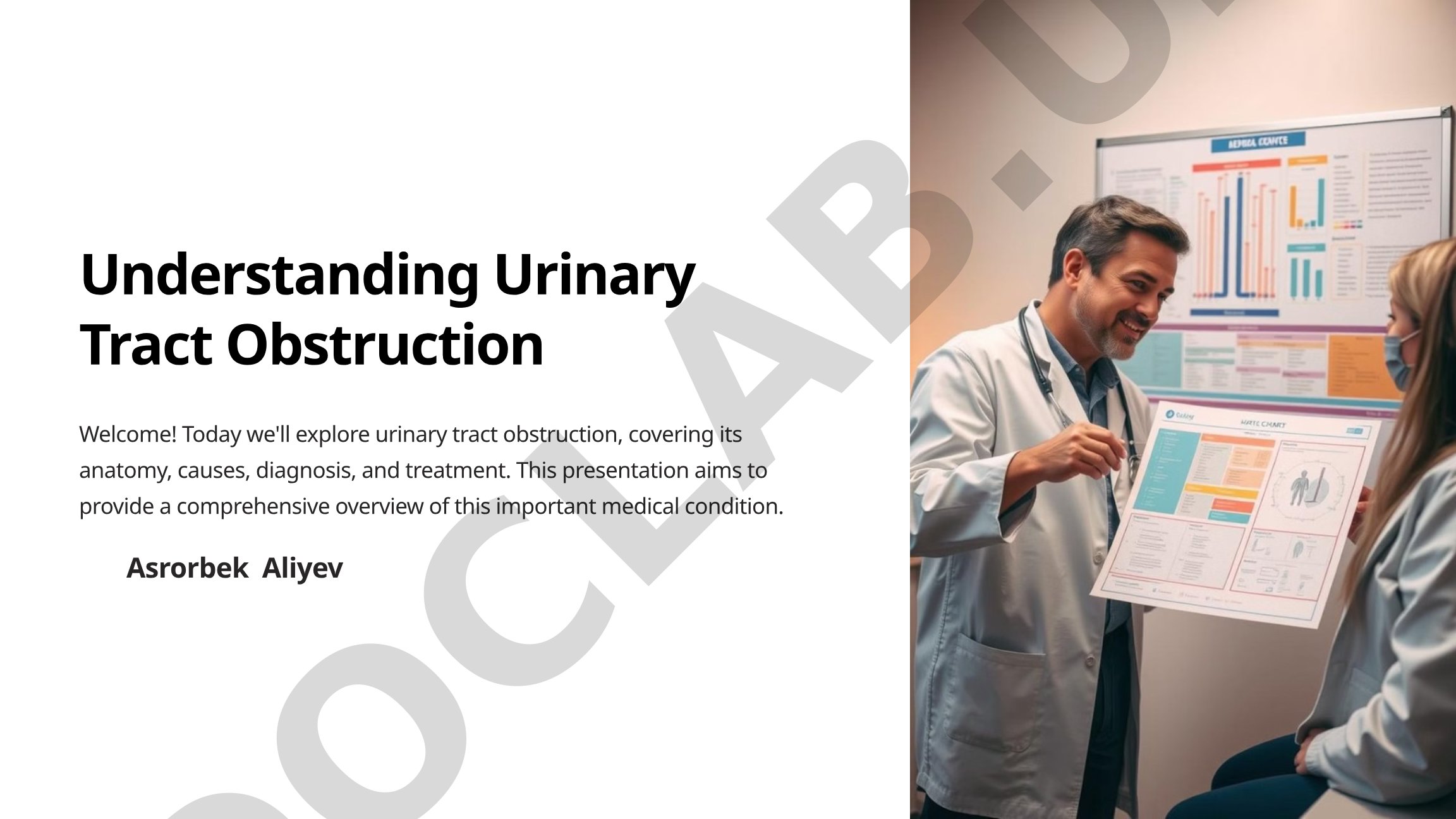 Understanding Urinary Tract Obstruction