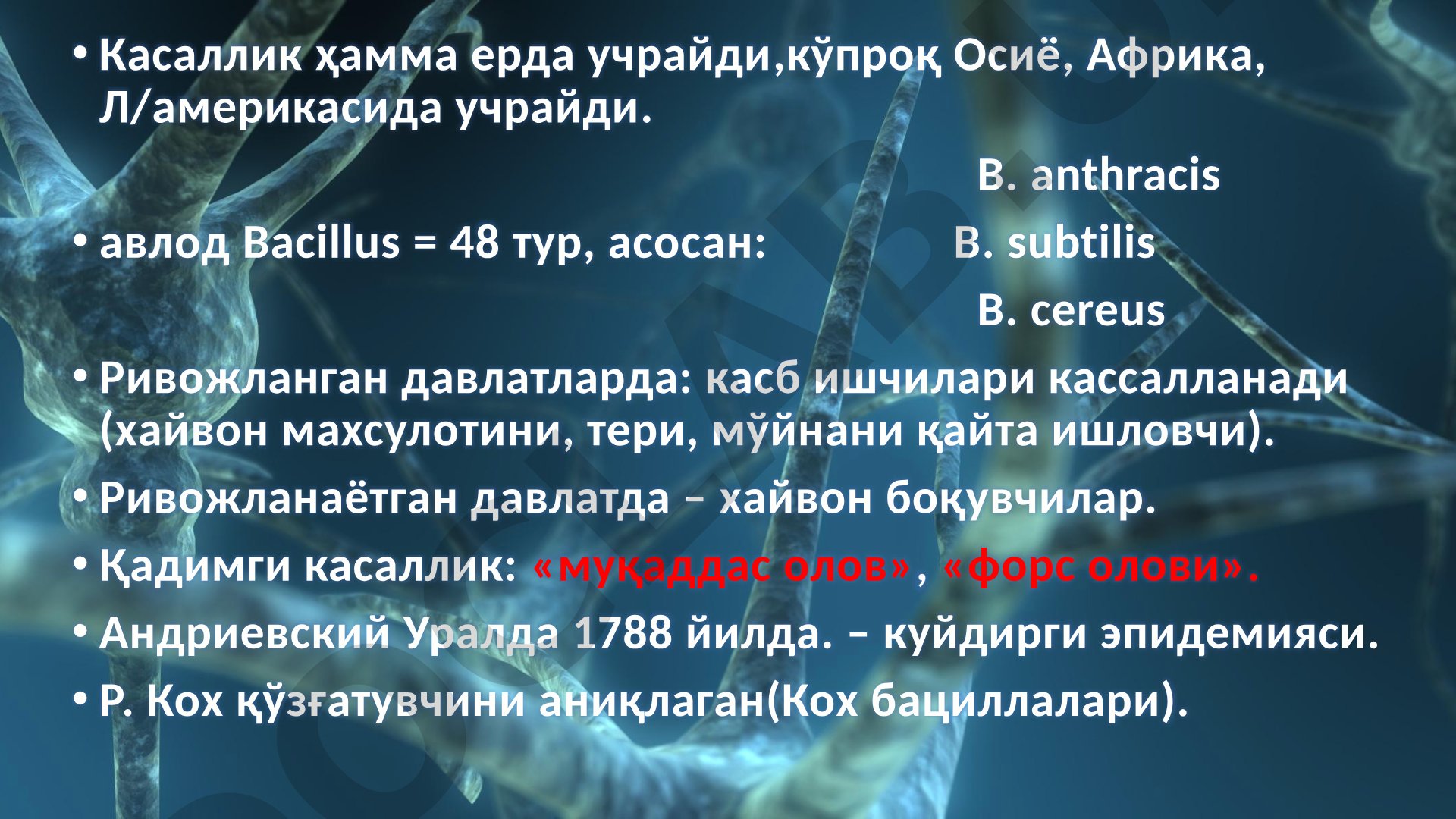 Куйдирги (сибир яраси) қўзғатувчиси хусусиятлари