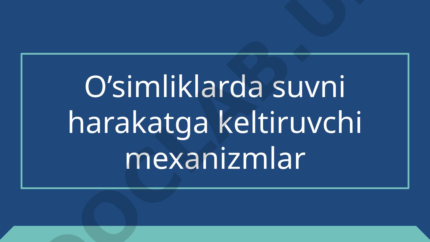O'simliklarda suvni harakatga keltiruvchi mexanizmlar