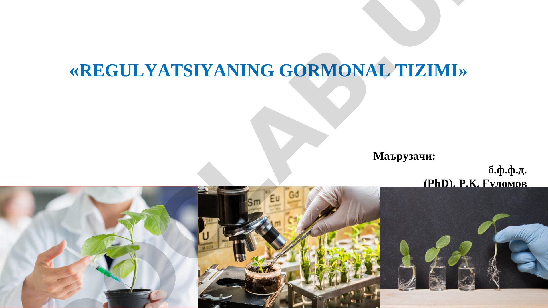 Regulyatsiyaning gormonal tizimi