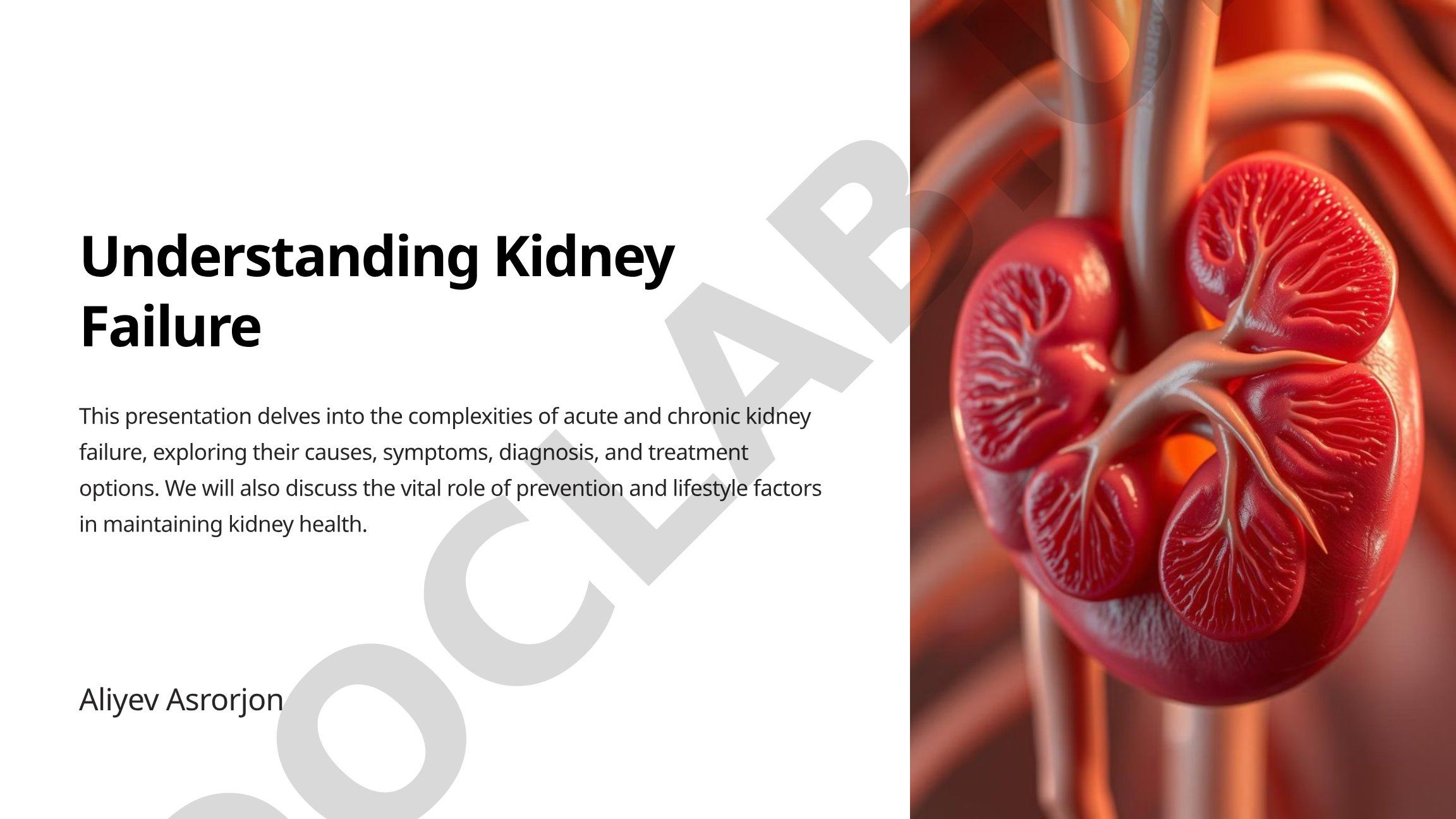 Understanding Kidney Failure