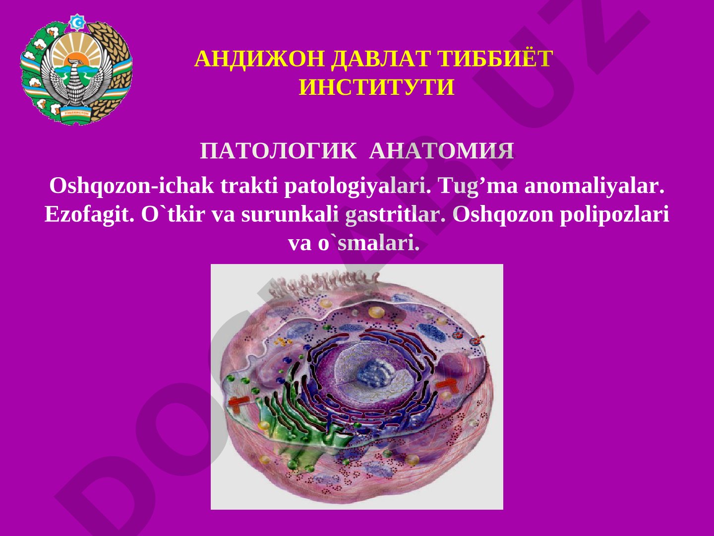 Oshqozon-ichak trakti patologiyalari