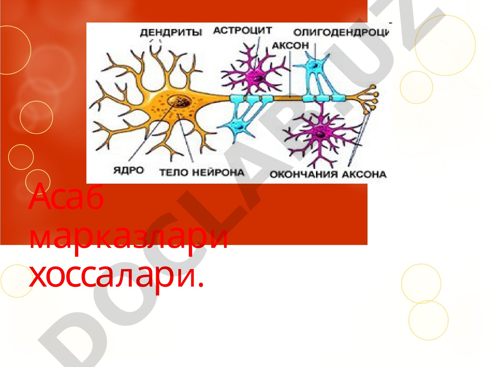 Асаб марказлари хоссалари