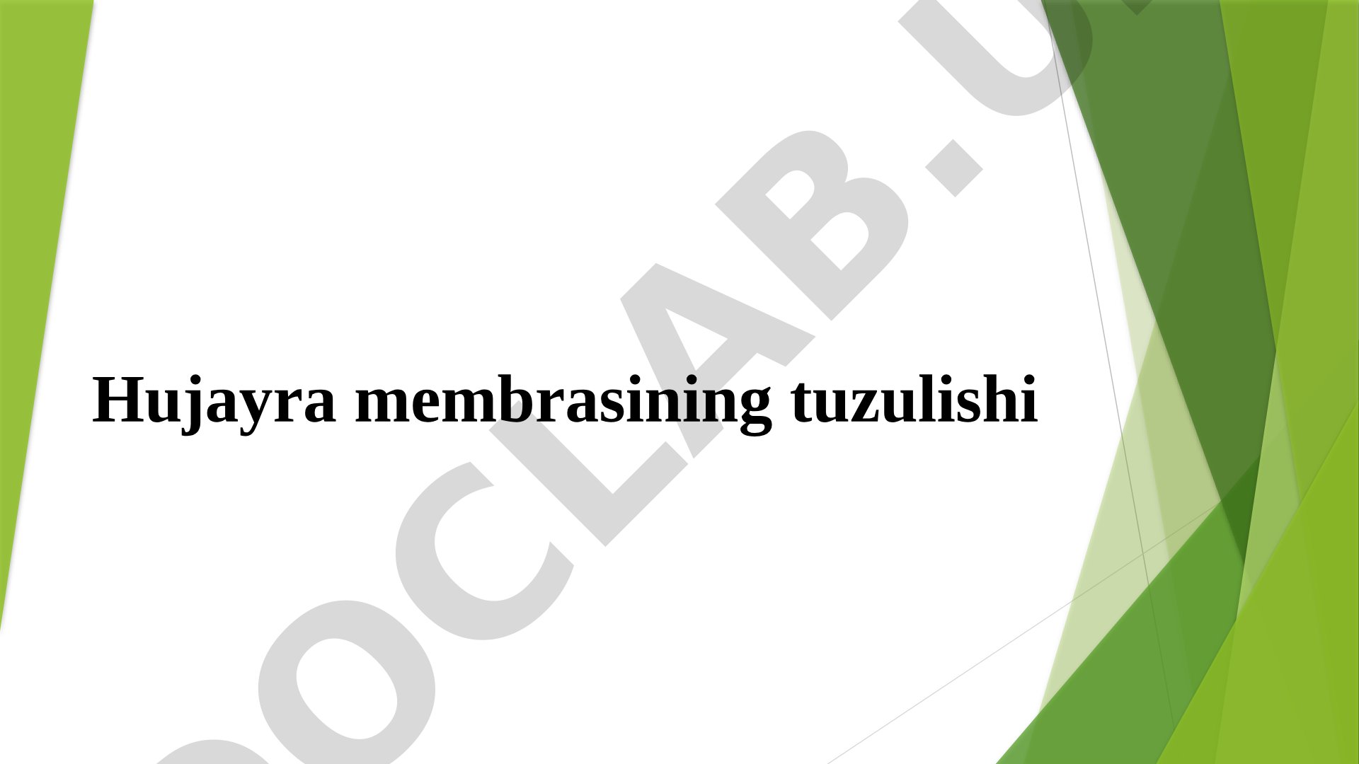 Hujayra membrasining tuzilishi