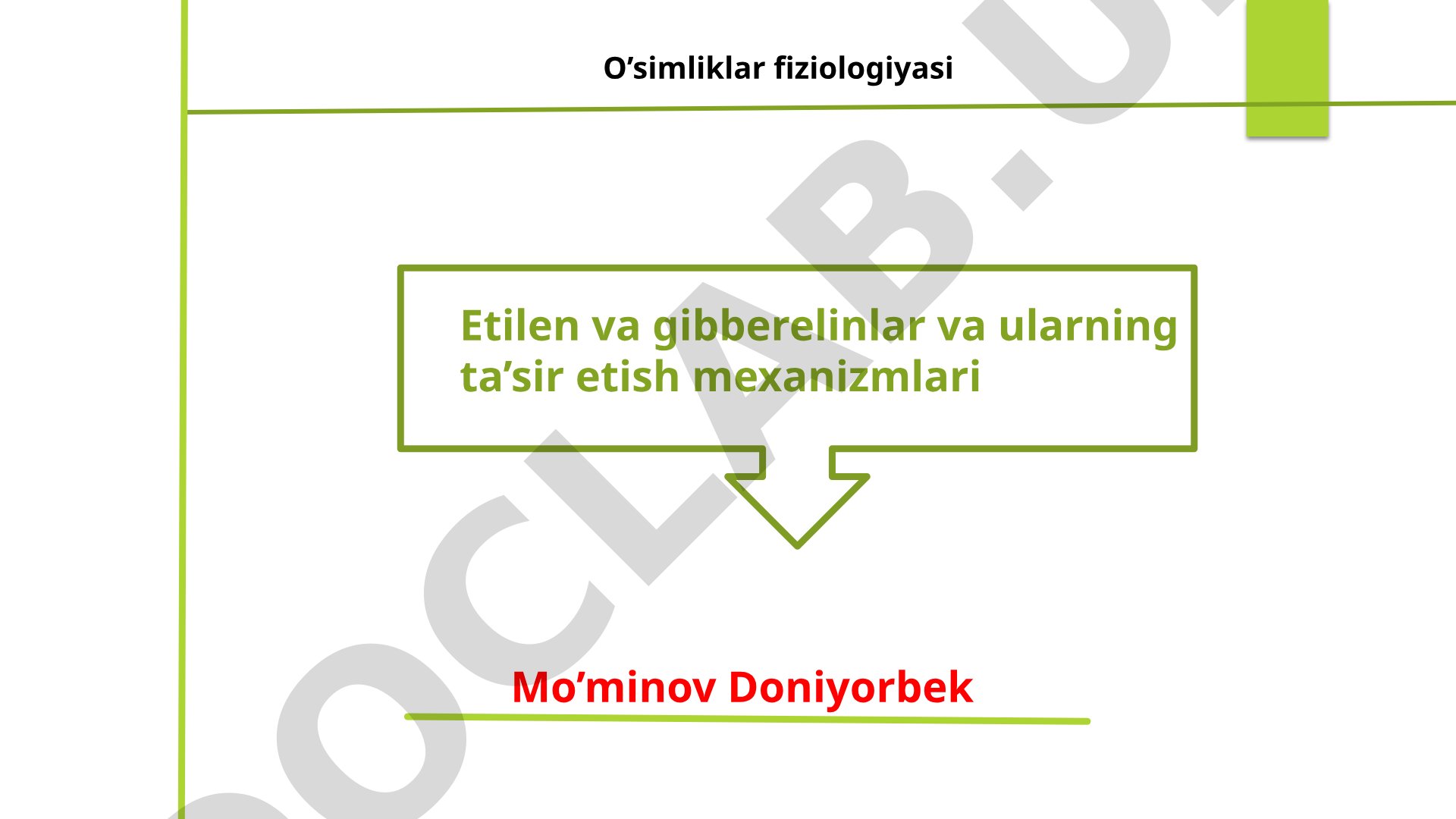 Etilen va gibberelinlar va ularning ta’sir etish mexanizmlari
