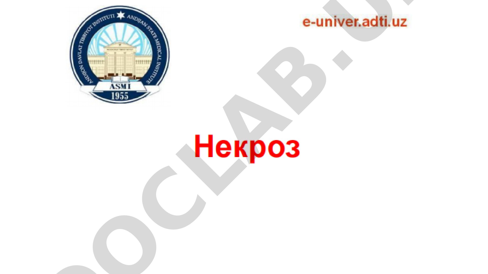 Контрольные вопросы по некрозу, апоптозу и кариесу