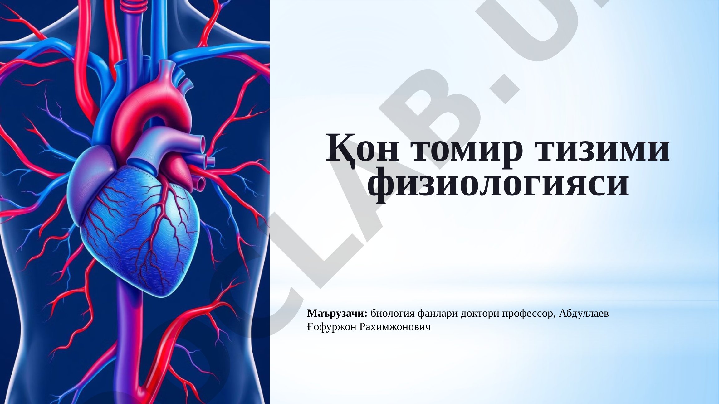Қон томир тизими физиологияси