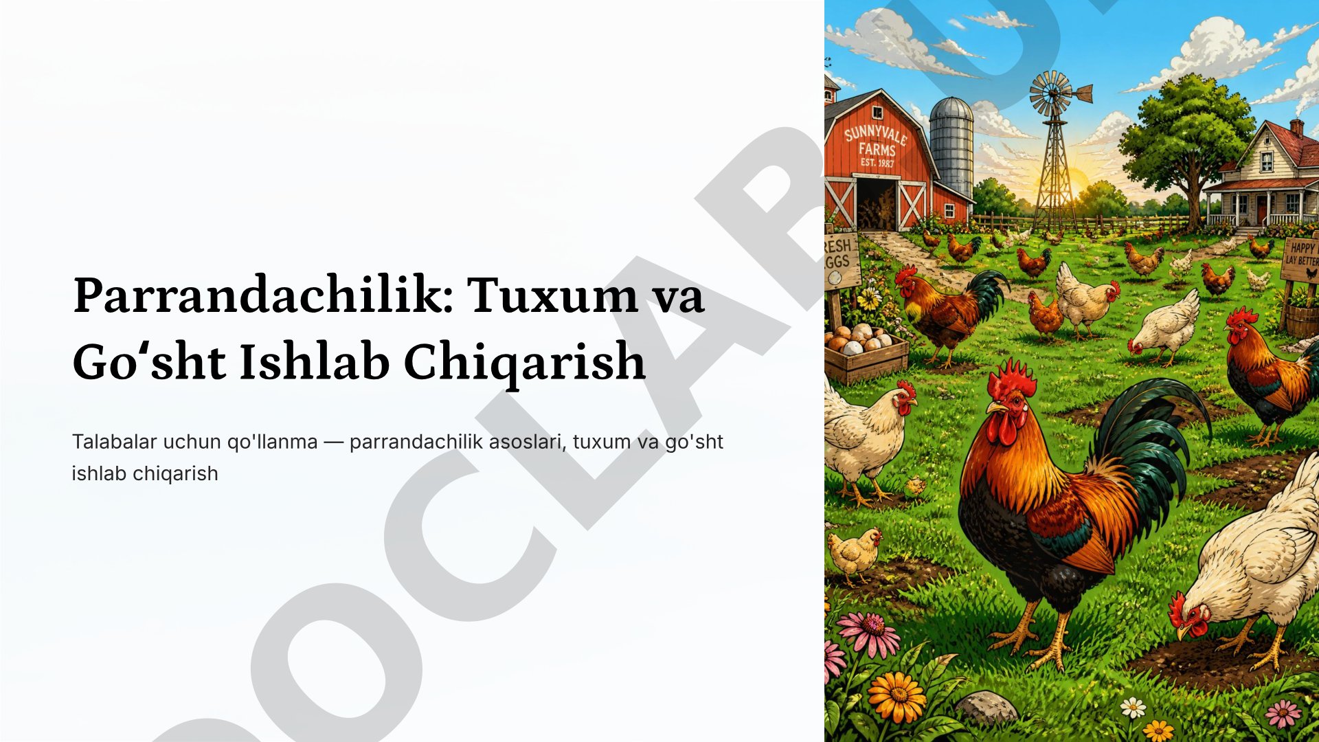 Parrandachilik: Tuxum va Goʻsht Ishlab Chiqarish