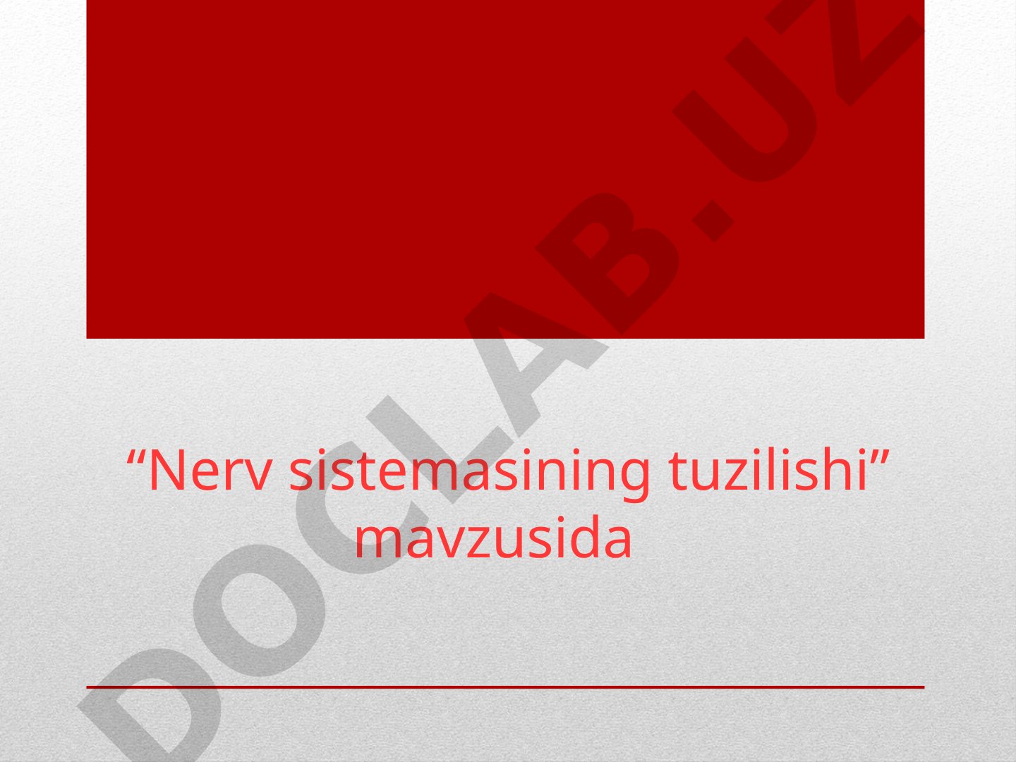 Nerv sistemasining tuzilishi