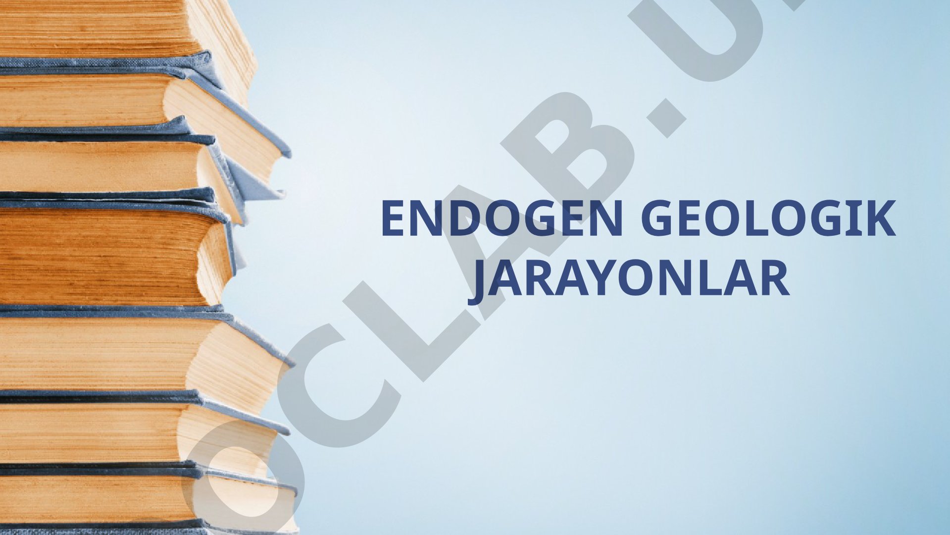 Endogen geologik jarayonlar va ularning turlari haqida ma'lumot