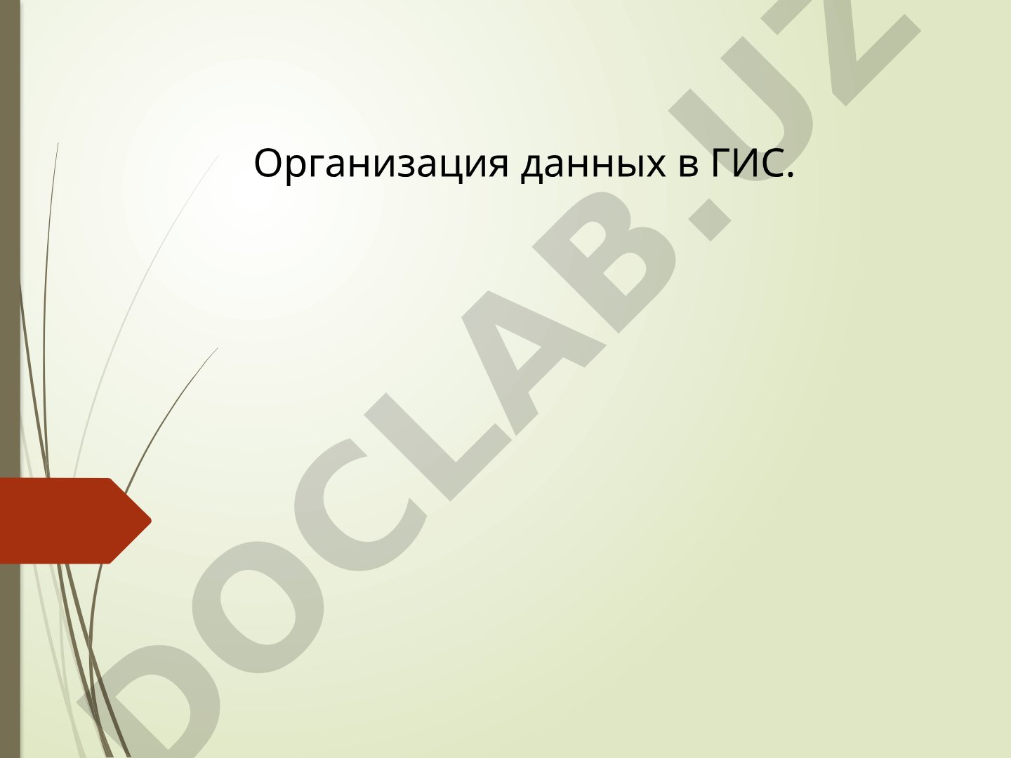 Организация данных в ГИС. Модели пространственных данных