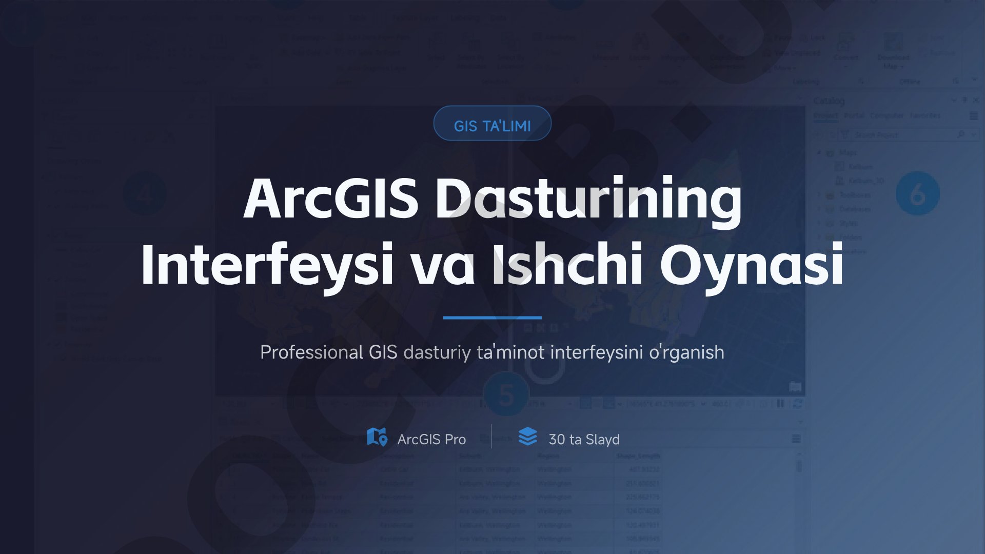 ArcGIS Pro dasturining interfeysi va ishchi oynasi