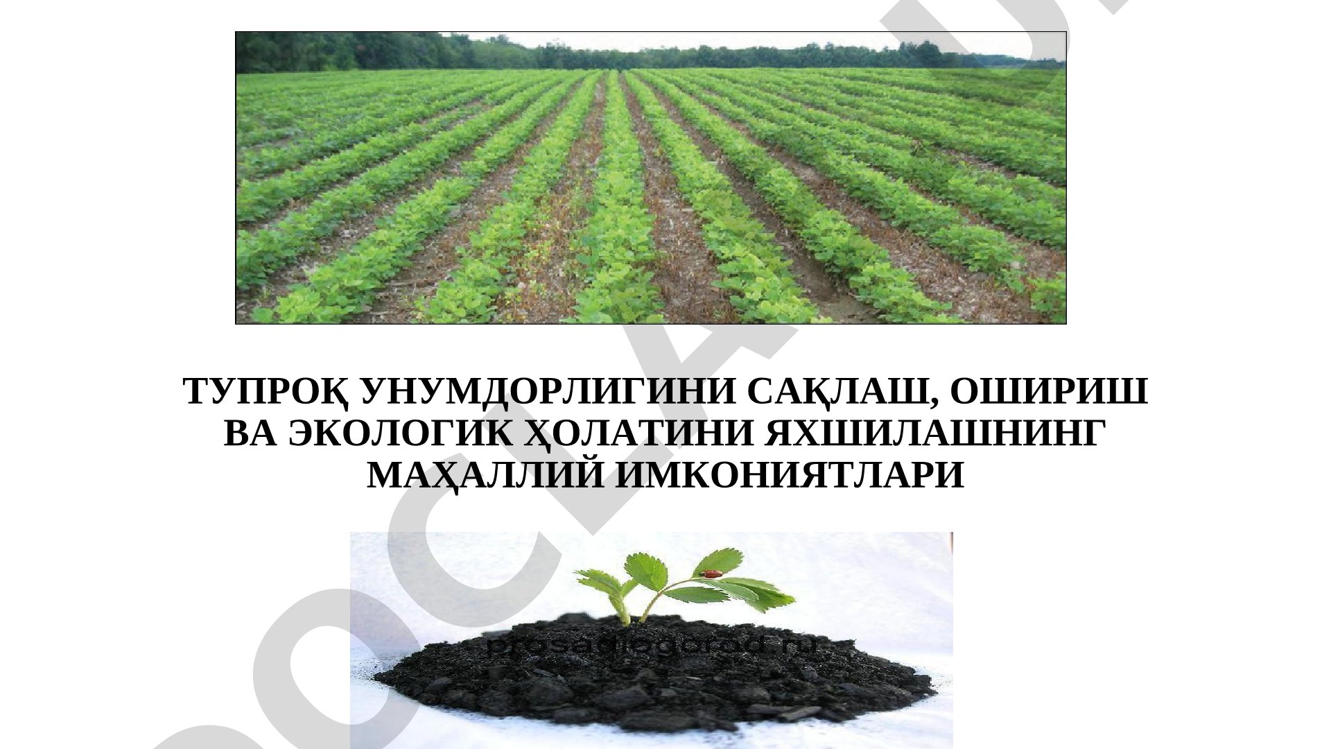 Тупроқ унумдорлигини сақлаш, ошириш ва экологик ҳолатини яхшилашнинг маҳаллий имкониятлари