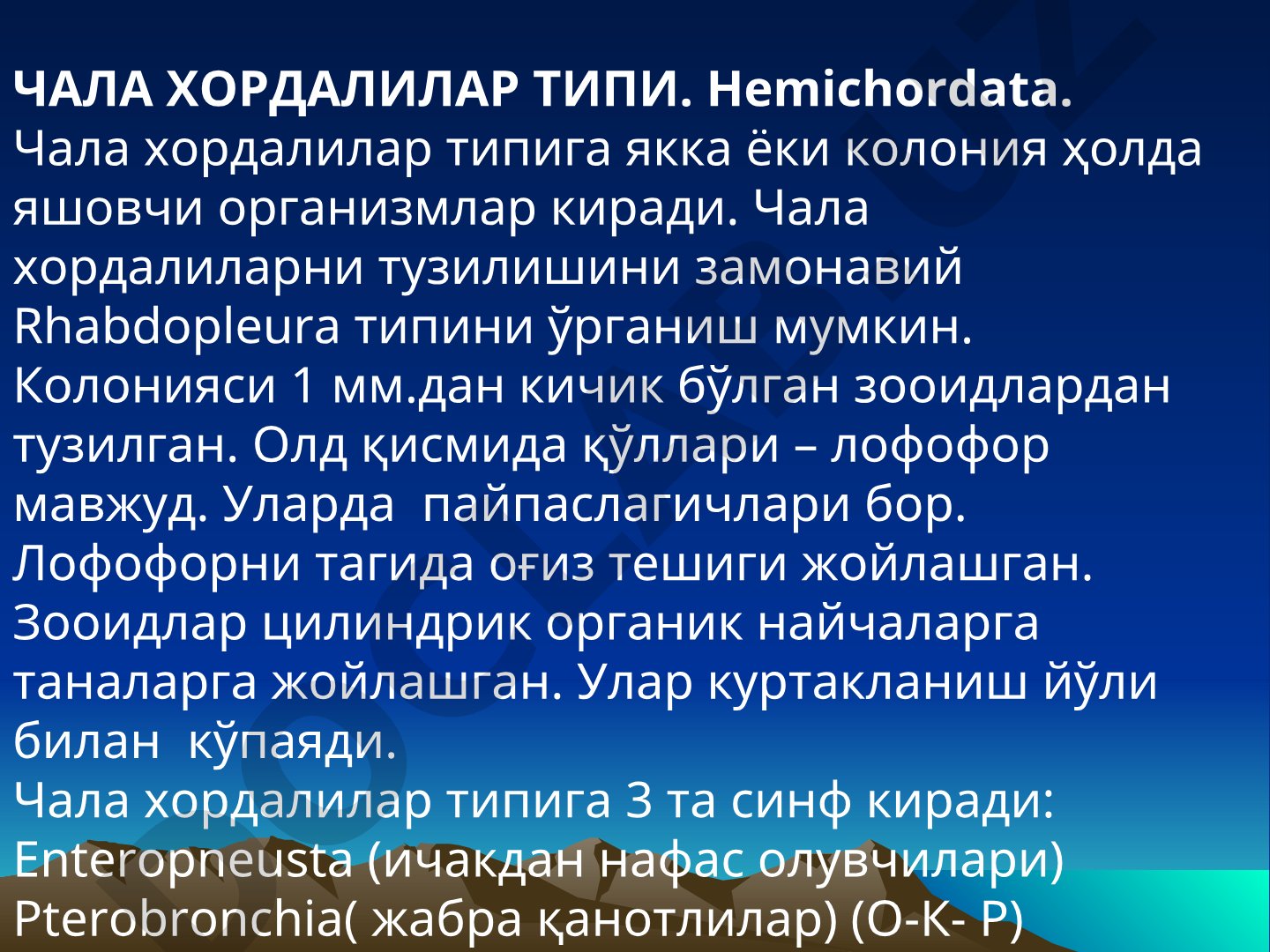 Чала хордалилар типи. Hemichordata