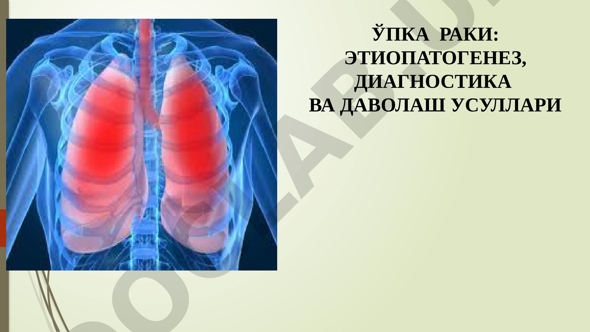 Ўпка раки: этиопатогенез, диагностика ва даволаш усуллари