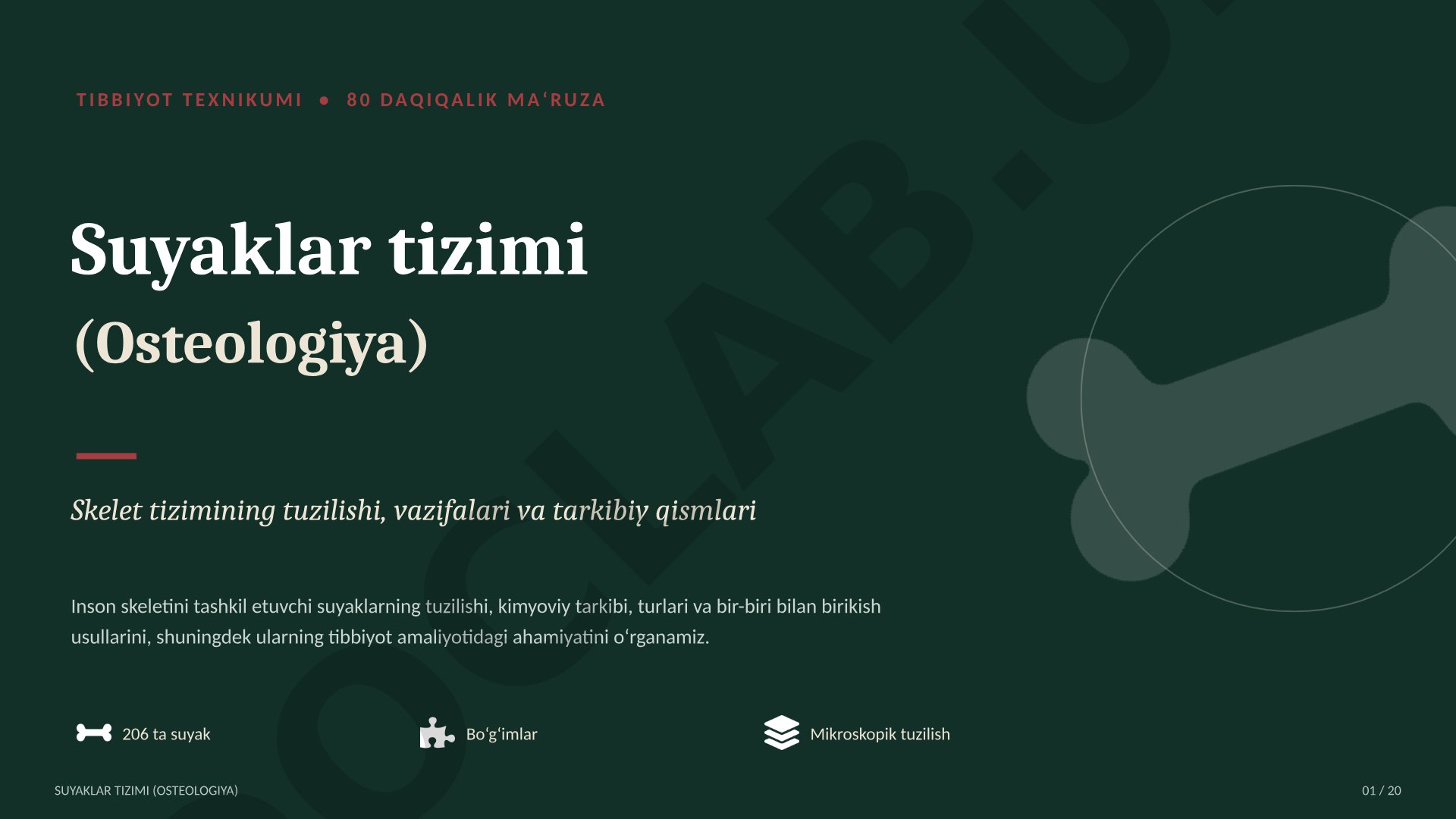Suyaklar tizimi Osteologiya