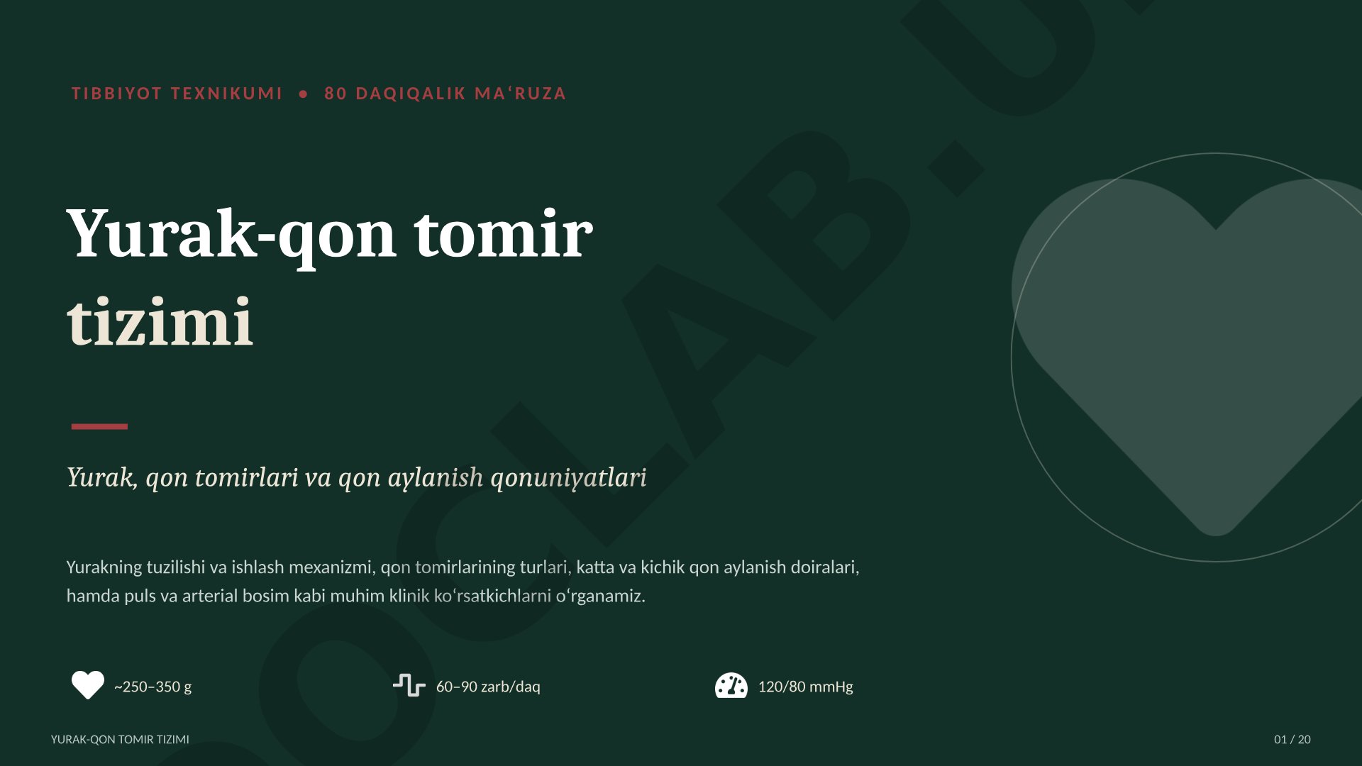 Yurak-qon tomir tizimi