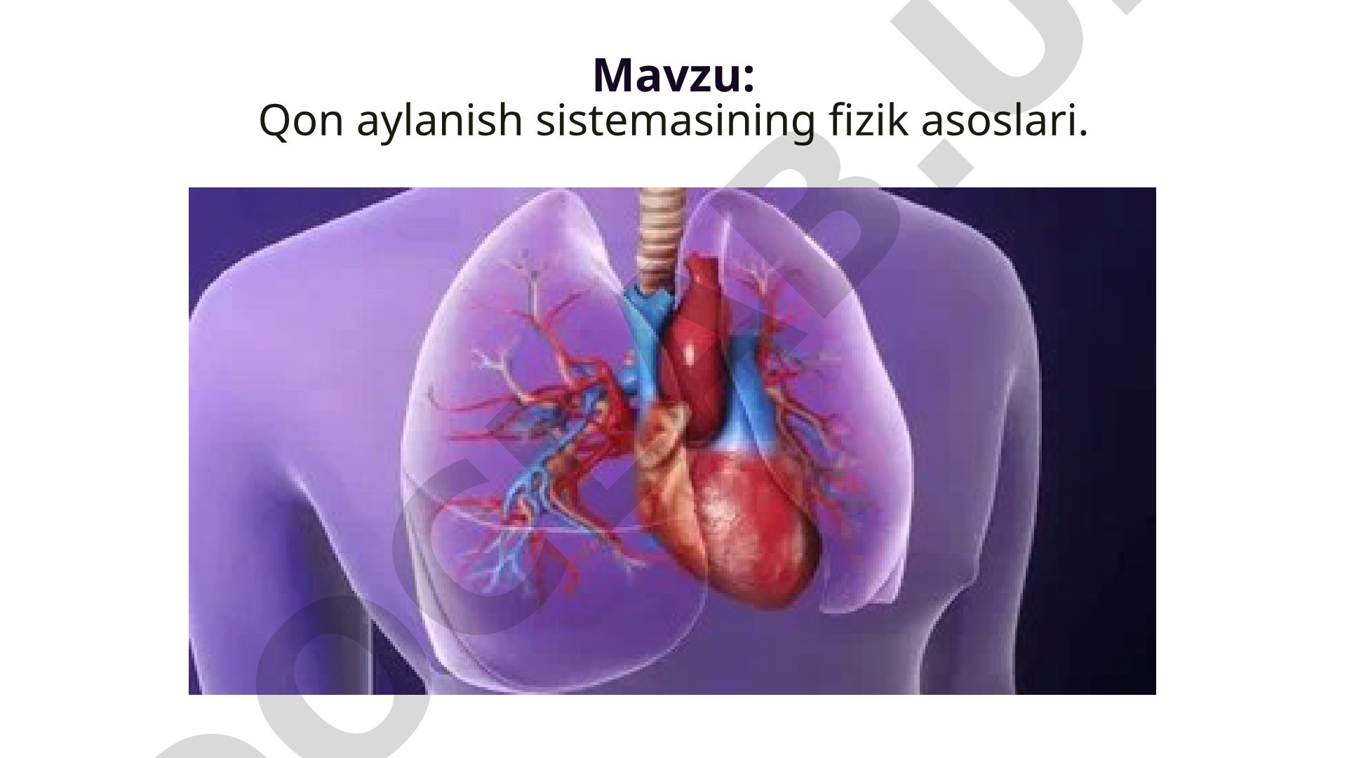Qon aylanish sistemasining fizik asoslari.
