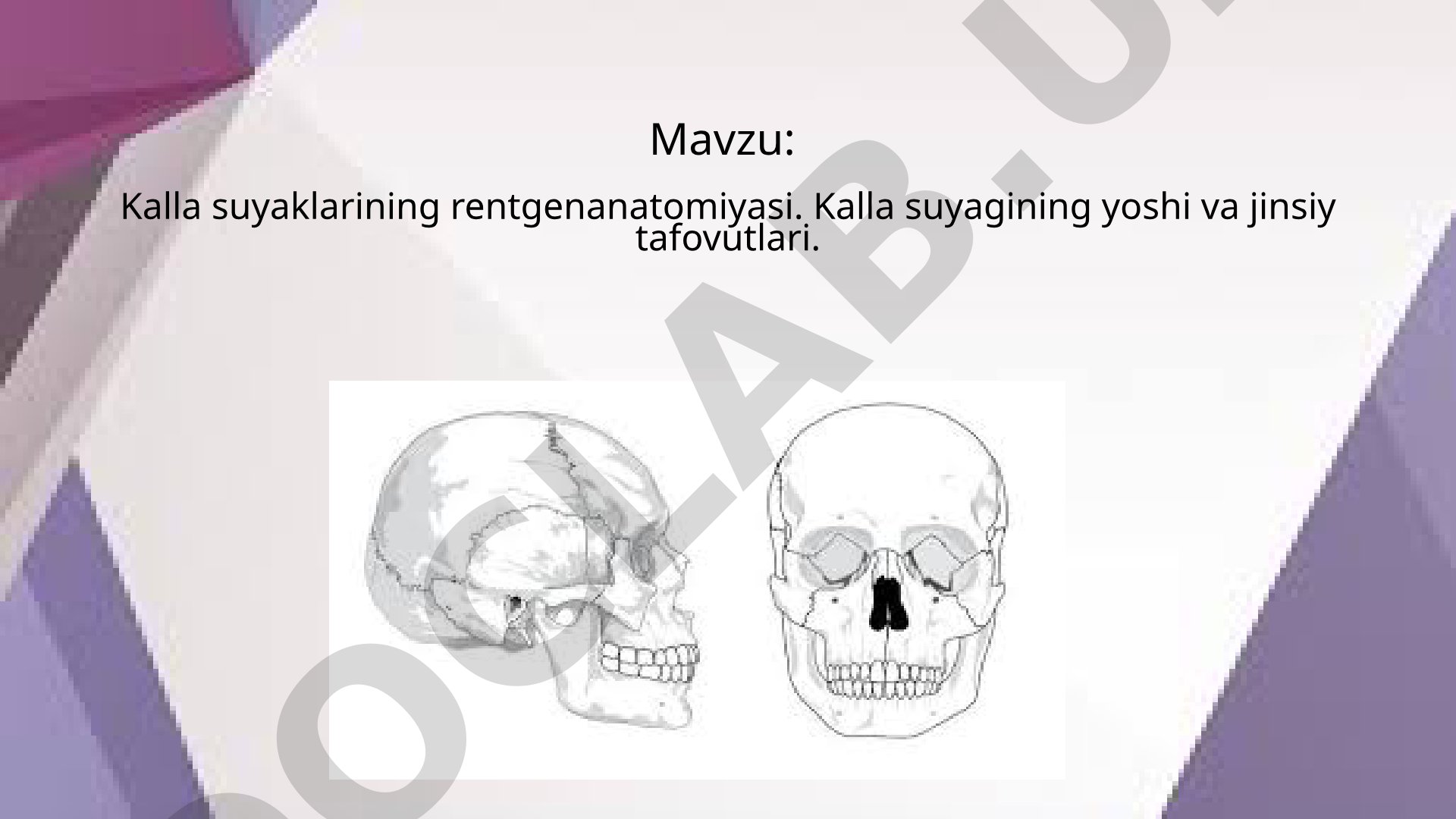 Kalla suyagi anatomiyasi