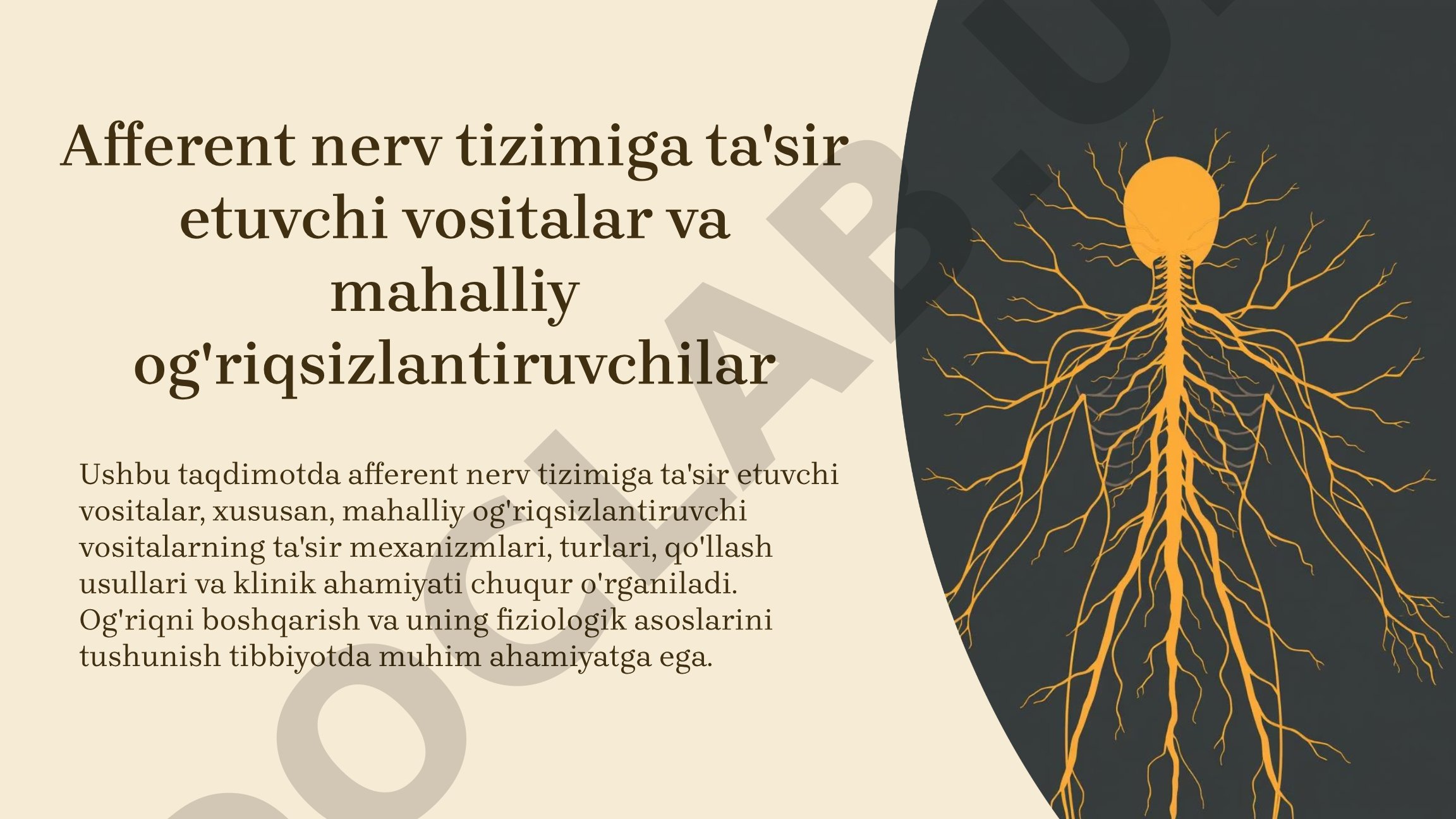 Afferent nerv tizimiga ta'sir etuvchi vositalar va mahalliy og'riqsizlantiruvchilar