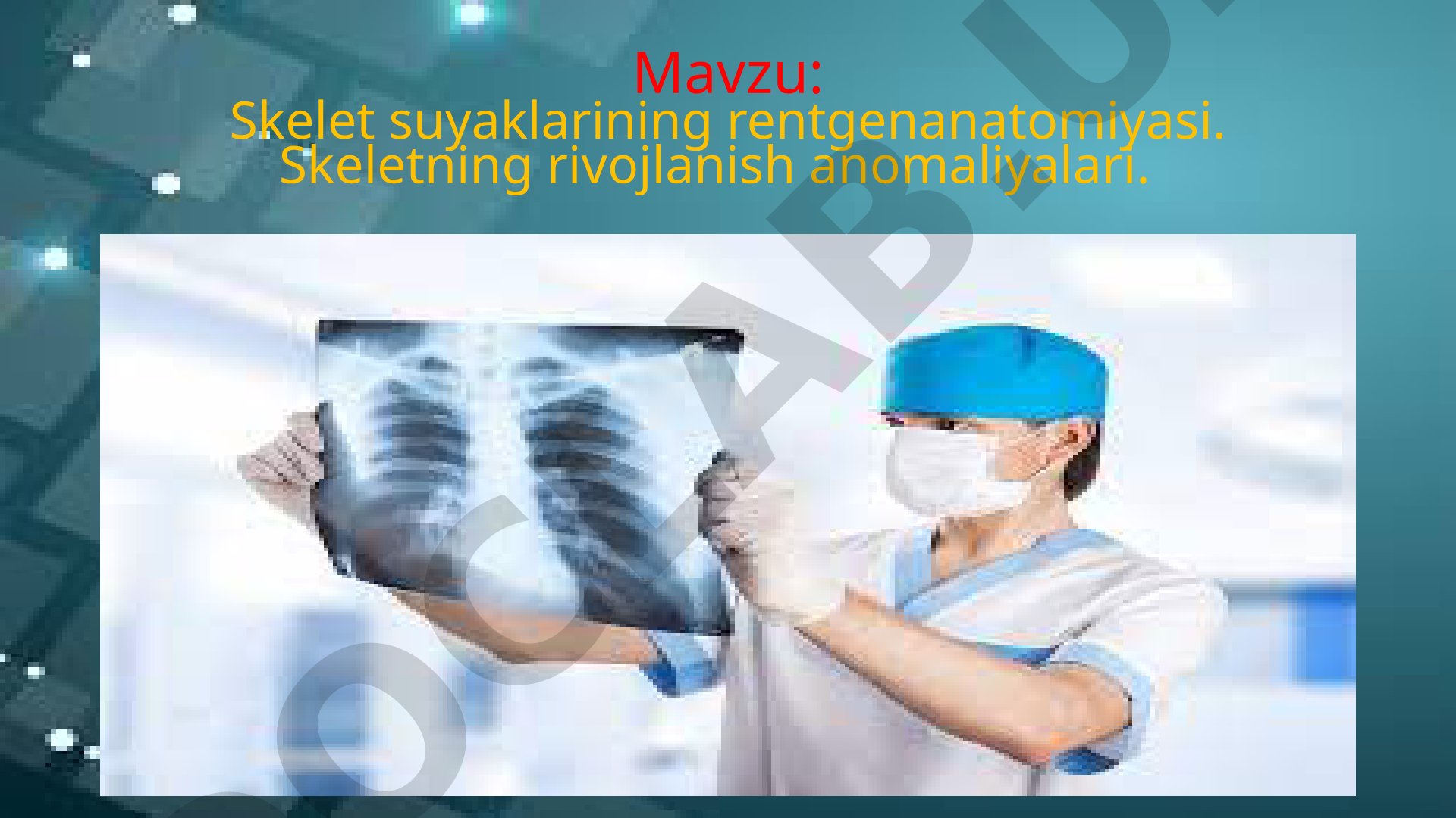 Skelet suyaklari anatomiyasi
