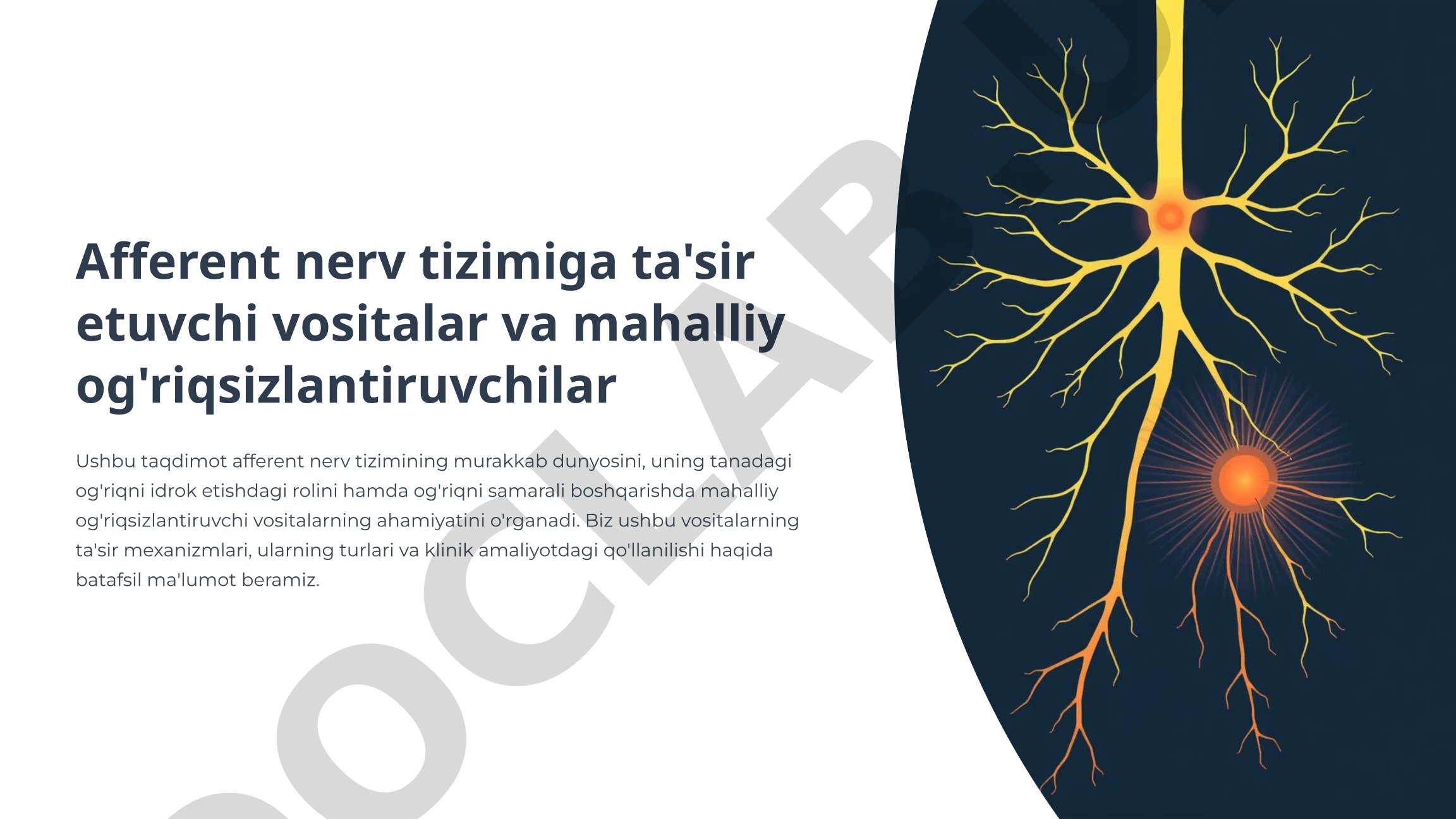 Afferent nerv tizimiga ta'sir etuvchi vositalar va mahalliy og'riqsizlantiruvchilar