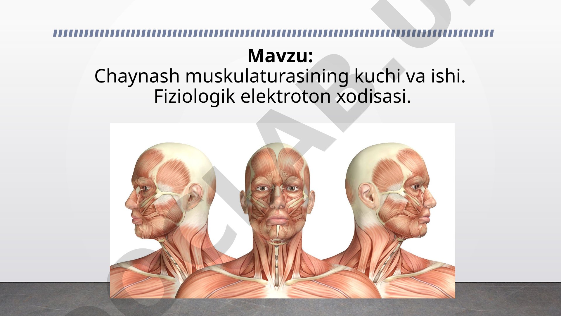 Chaynash muskulaturasining kuchi va ishi. Fiziologik elektroton xodisasi.