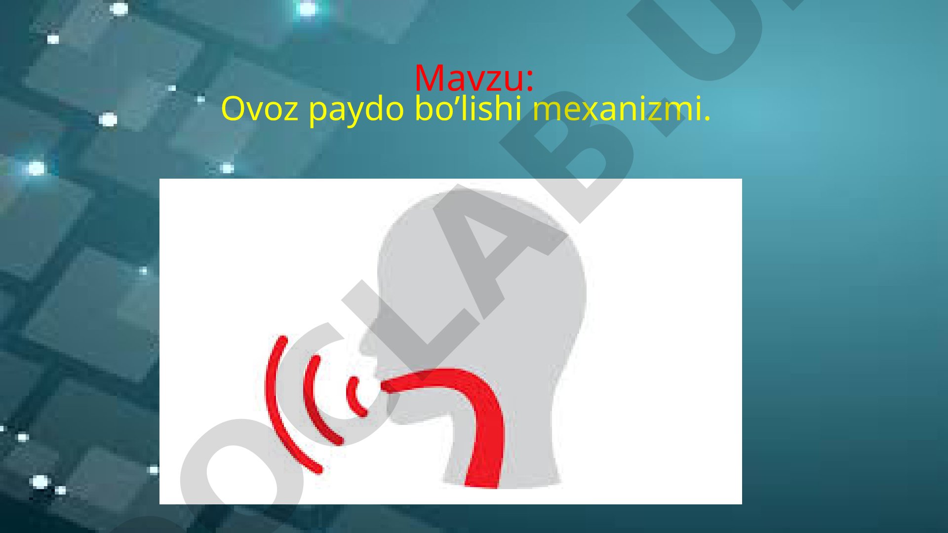 Ovoz paydo bo’lishi mexanizmi