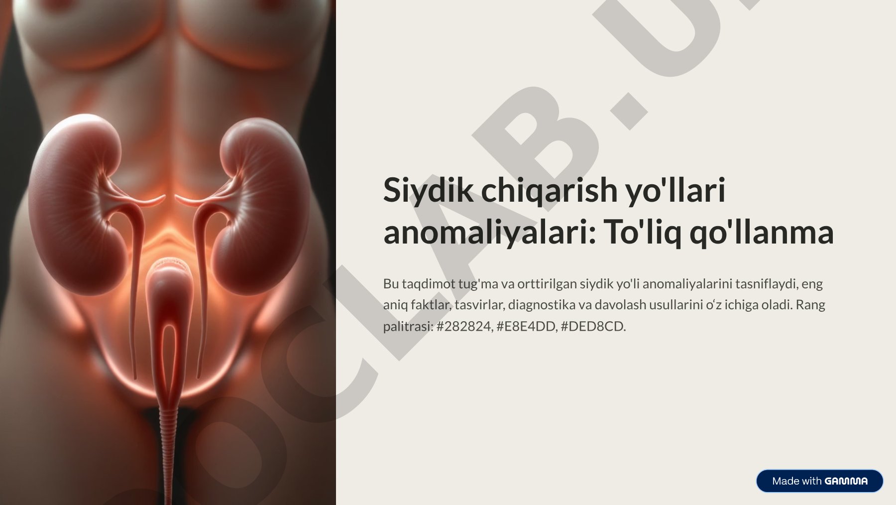 Siydik chiqarish yo'llari anomaliyalari: To'liq qo'llanma