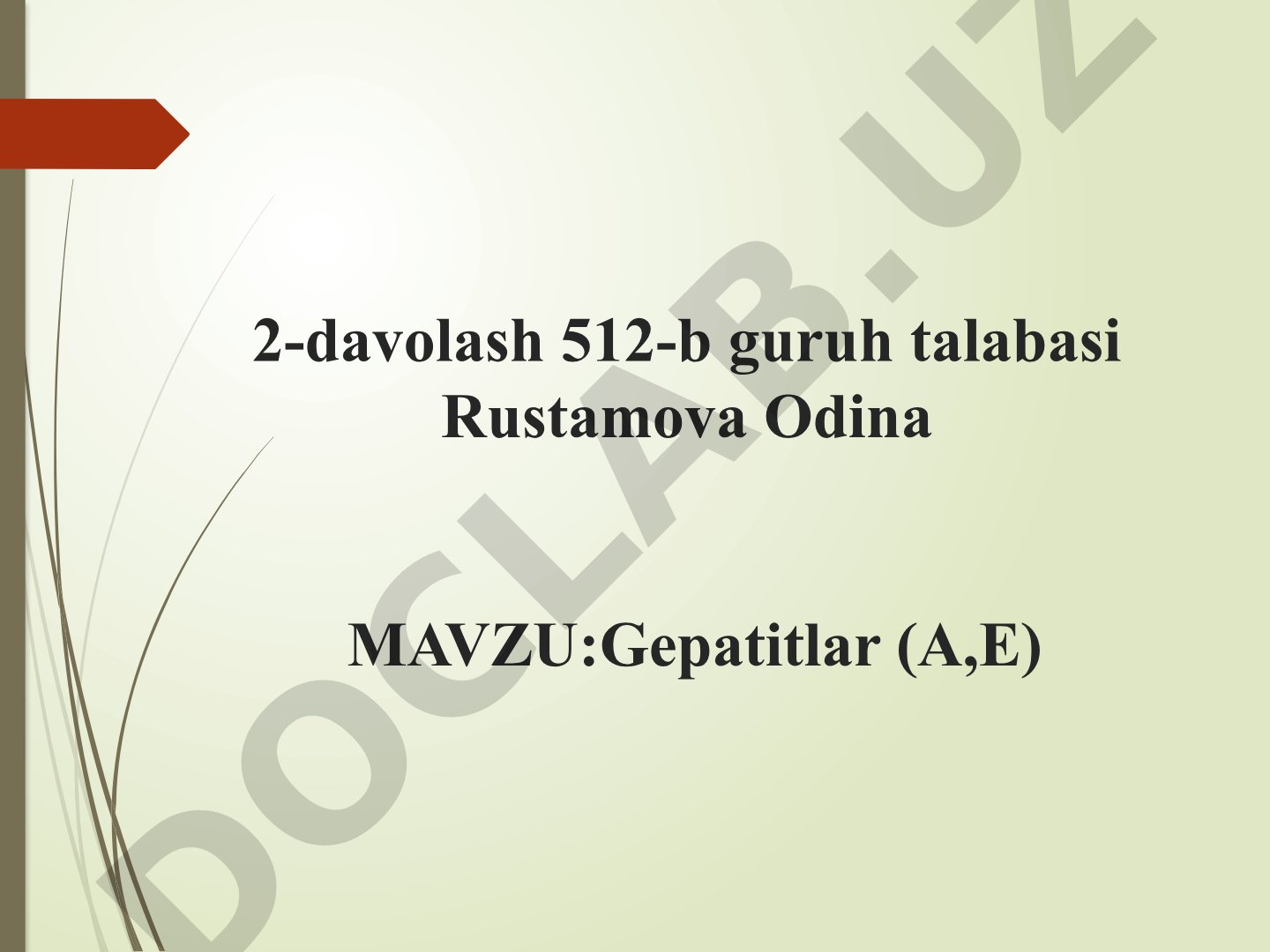 Virusli gepatitlar, jumladan A va E turlari, ularning qo'zg'atuvchilari, yuqish yo'llari