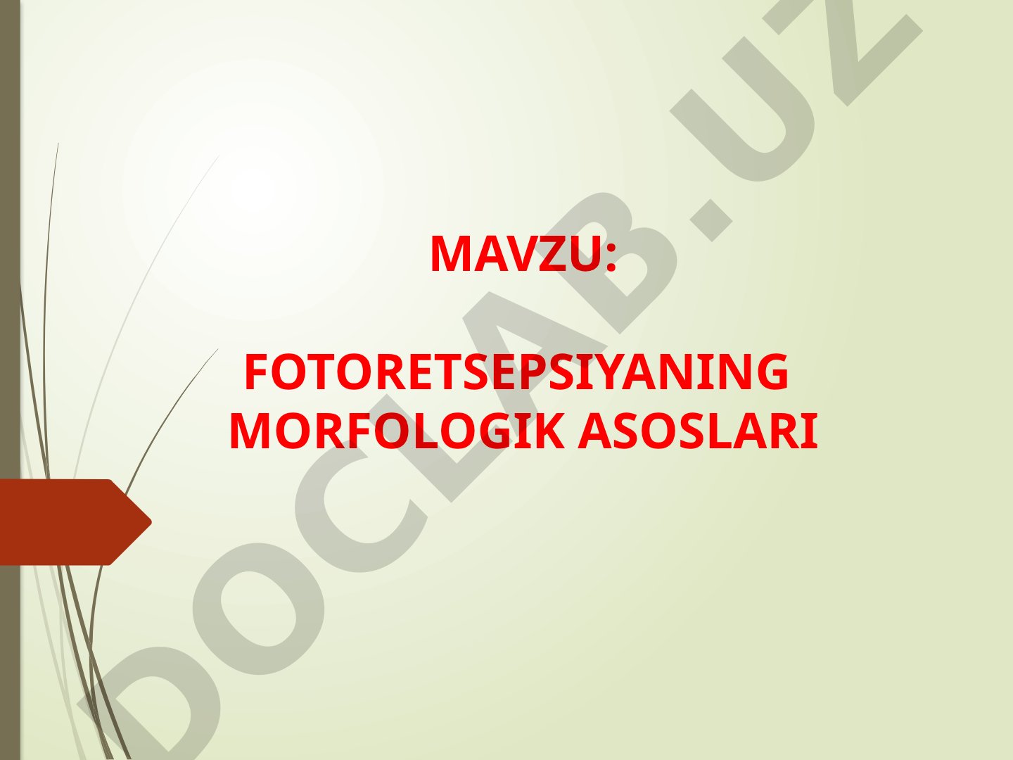 Ko'z tuzilishi, sklera va muguz pardaning morfologik tavsifi