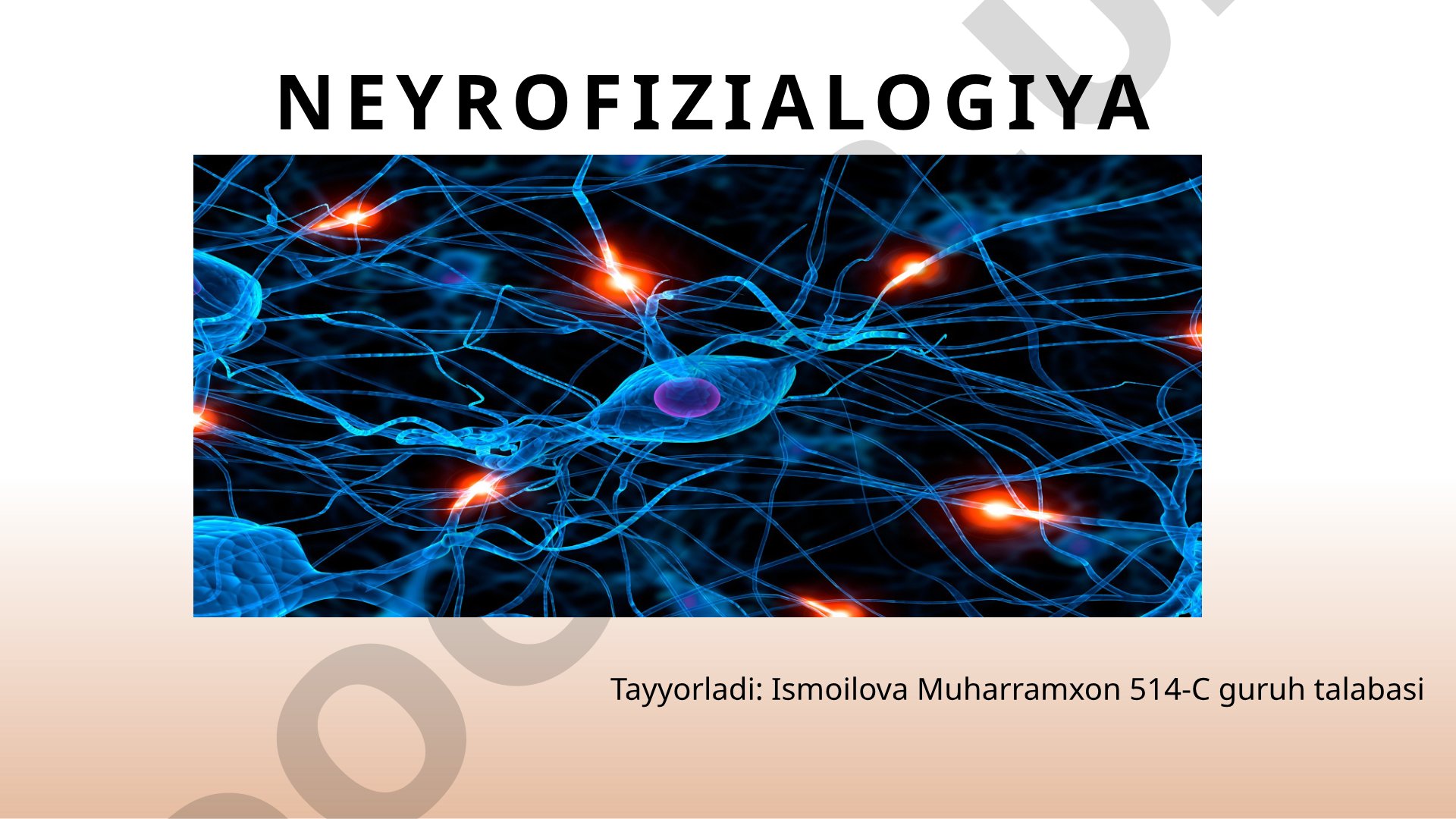 Neyrofiziologiya fanining asoslari, neyronlar va ularning vazifalari haqida