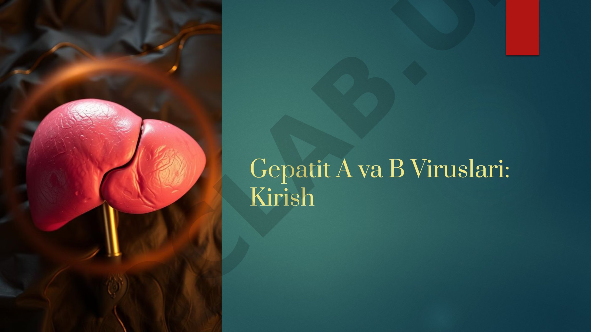 Gepatit A va B Viruslari: Kirish
