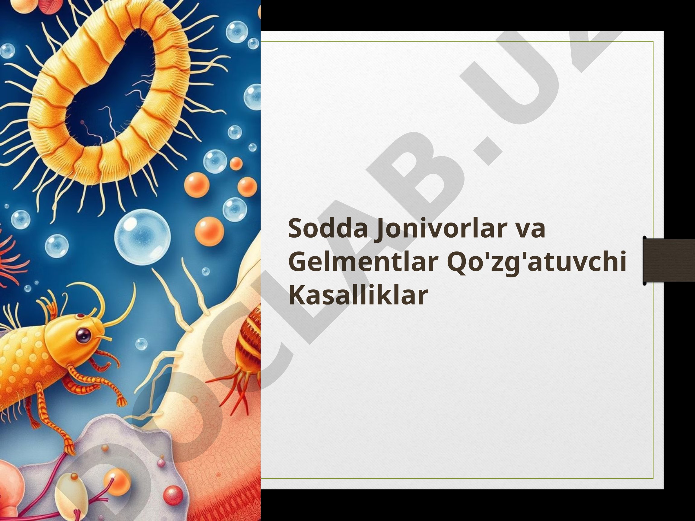Sodda jonivorlar