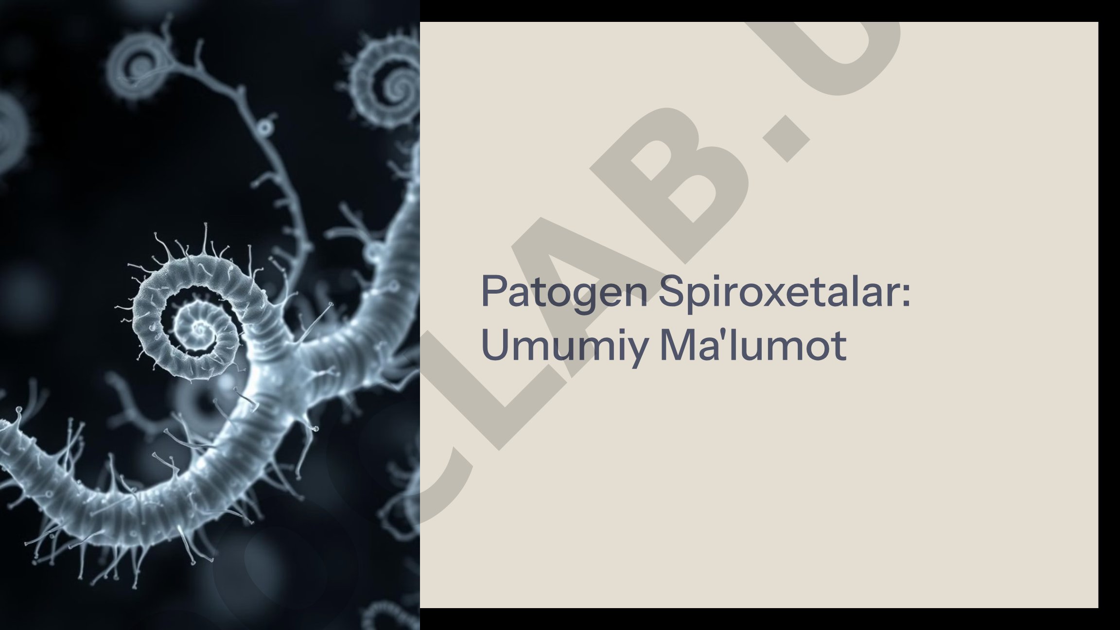 Patogen Spiroxetalar: Umumiy Ma'lumot