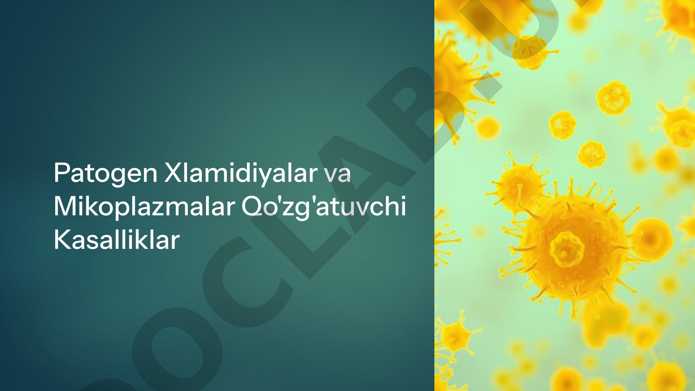Patogen Xlamidiyalar va Mikoplazmalar Qo'zg'atuvchi Kasalliklar