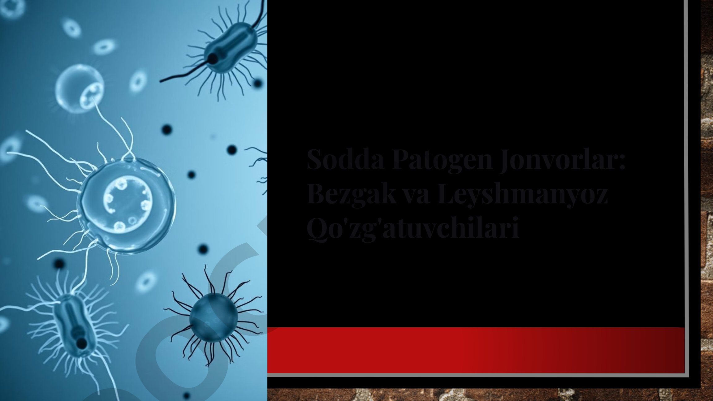 Sodda Patogen Jonvorlar: Bezgak va Leyshmanyoz Qo'zg'atuvchilari