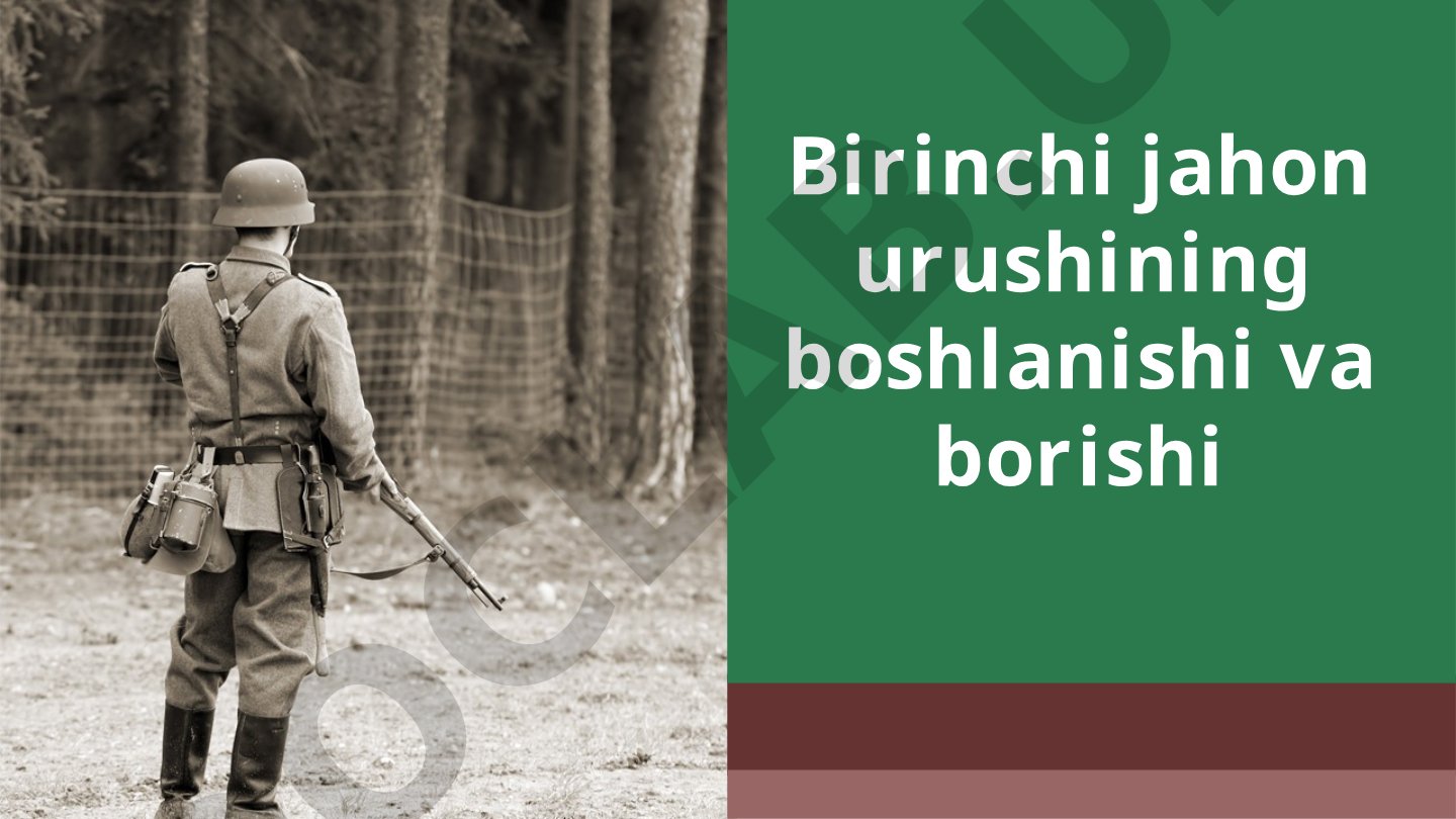 Birinchi jahon urushining boshlanishi va borishi