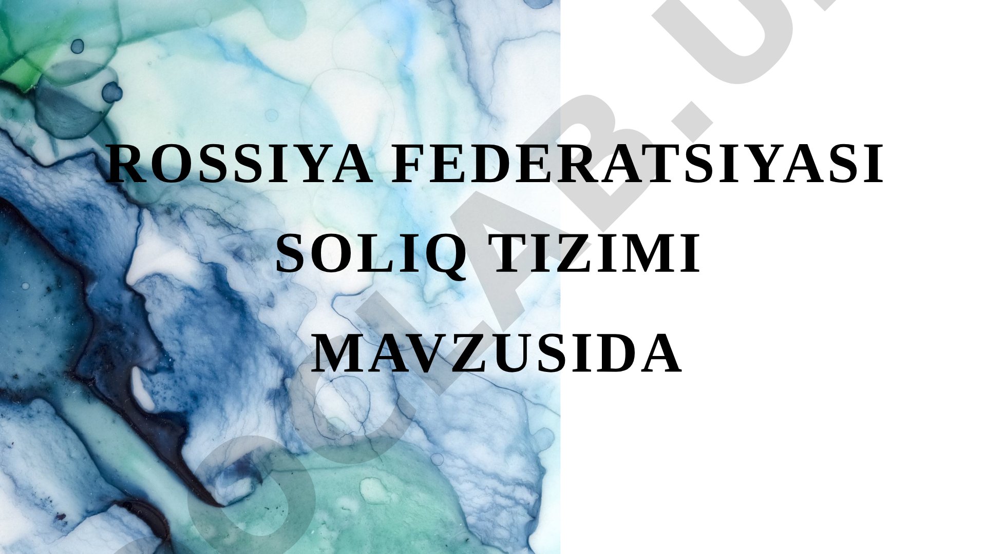 Rossiya Federatsiyasi soliq tizimi