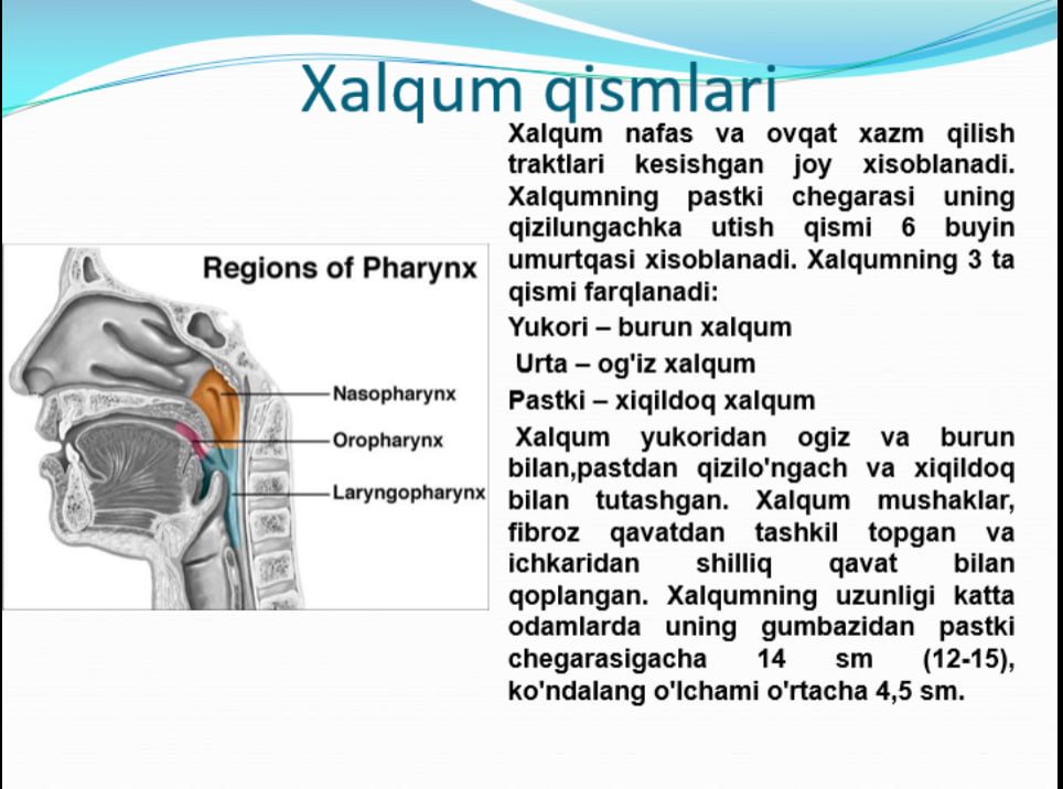 Xalqumning o'tkir va surunkali kasalliklari