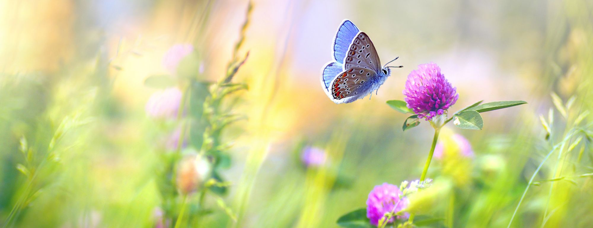 GD Hall Funeral Directors